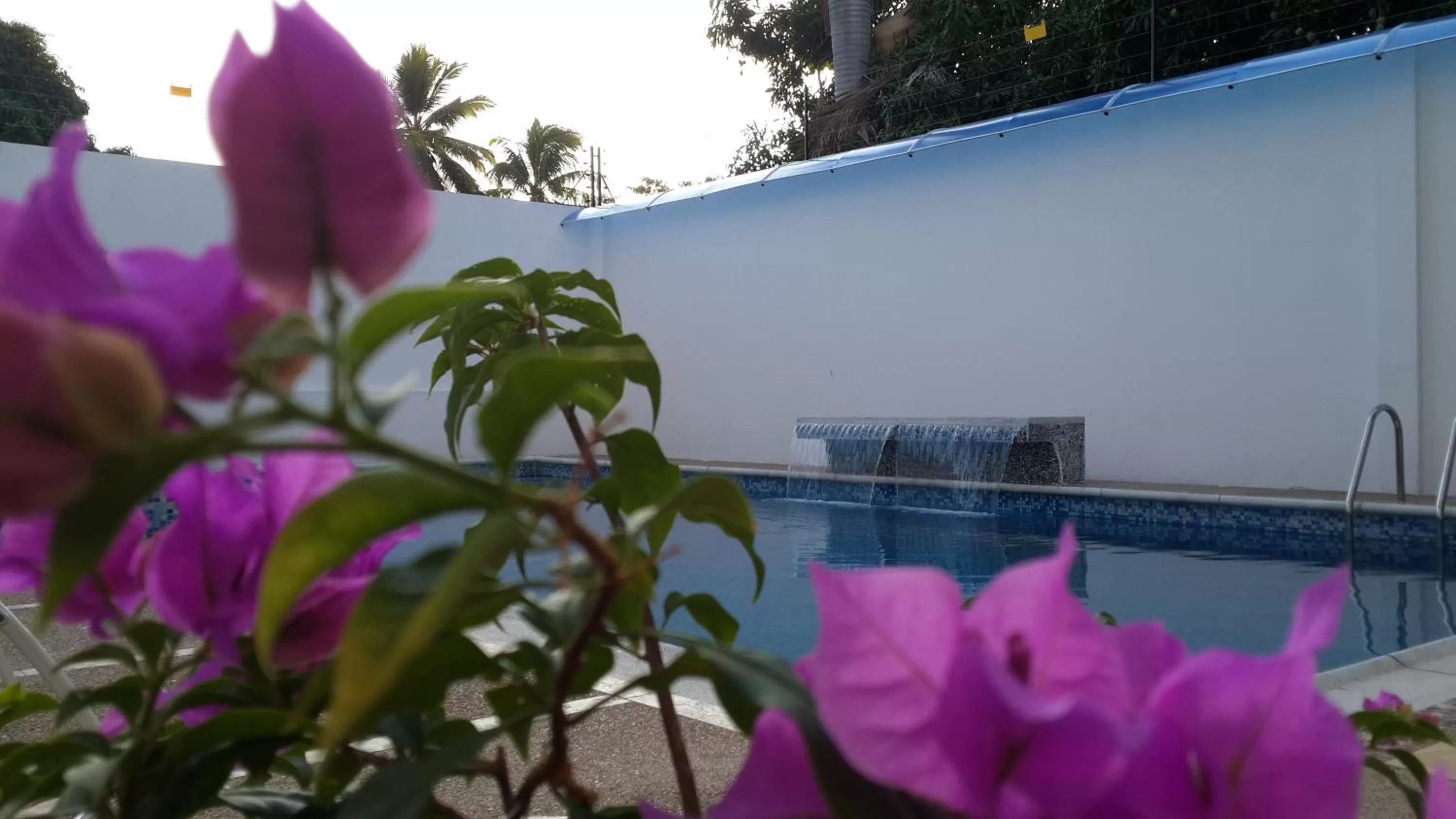 Swimming Pool in Tropical Resort Tocaima
