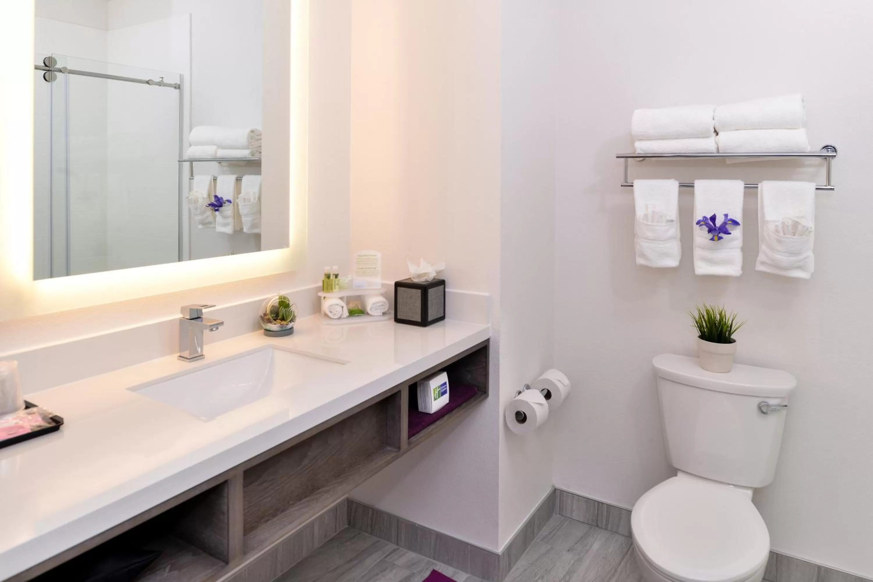 Bathroom in Holiday Inn Express & Suites San Diego - Mission Valley by IHG