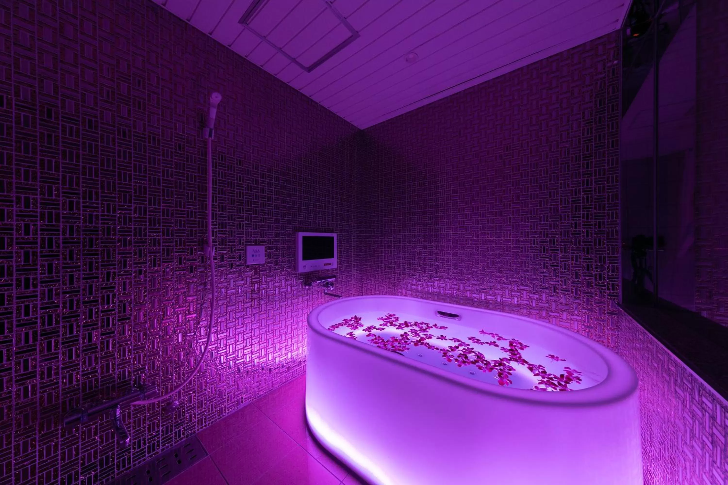 Hotel Eldia Luxury Kobe (Adult Only)