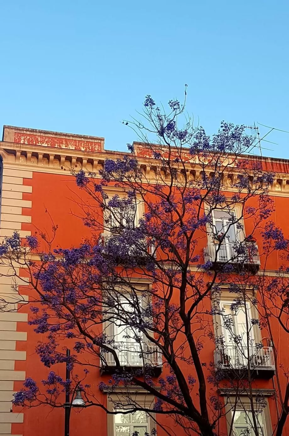 Facade/entrance in MONART HOSPITALITY Cavour