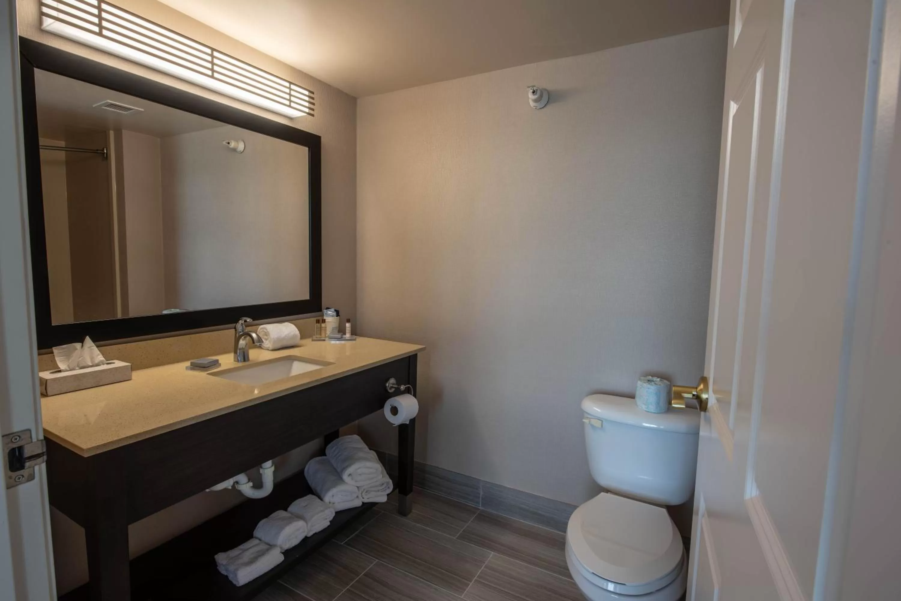 Toilet in Wingate by Wyndham Indianapolis Airport Plainfield