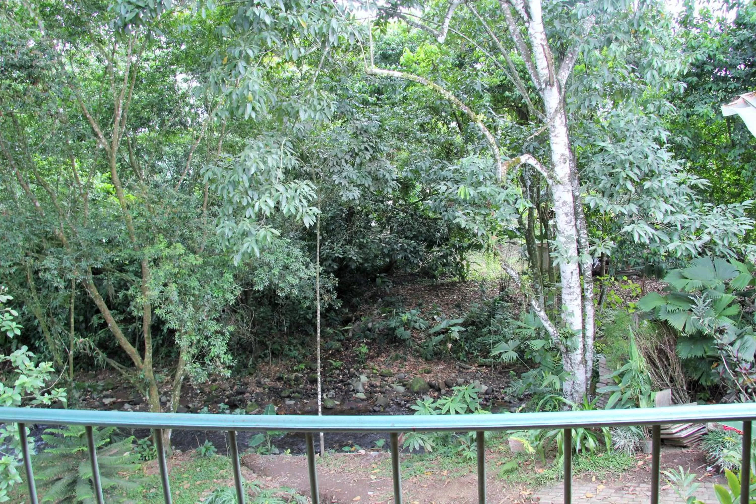 Area and facilities in Hotel Monte Real