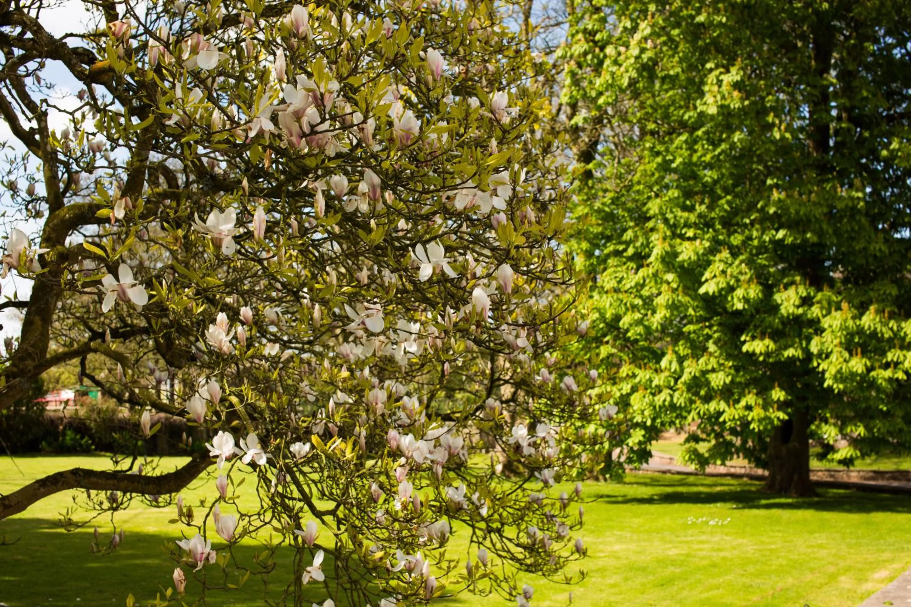 Other in Portclew House