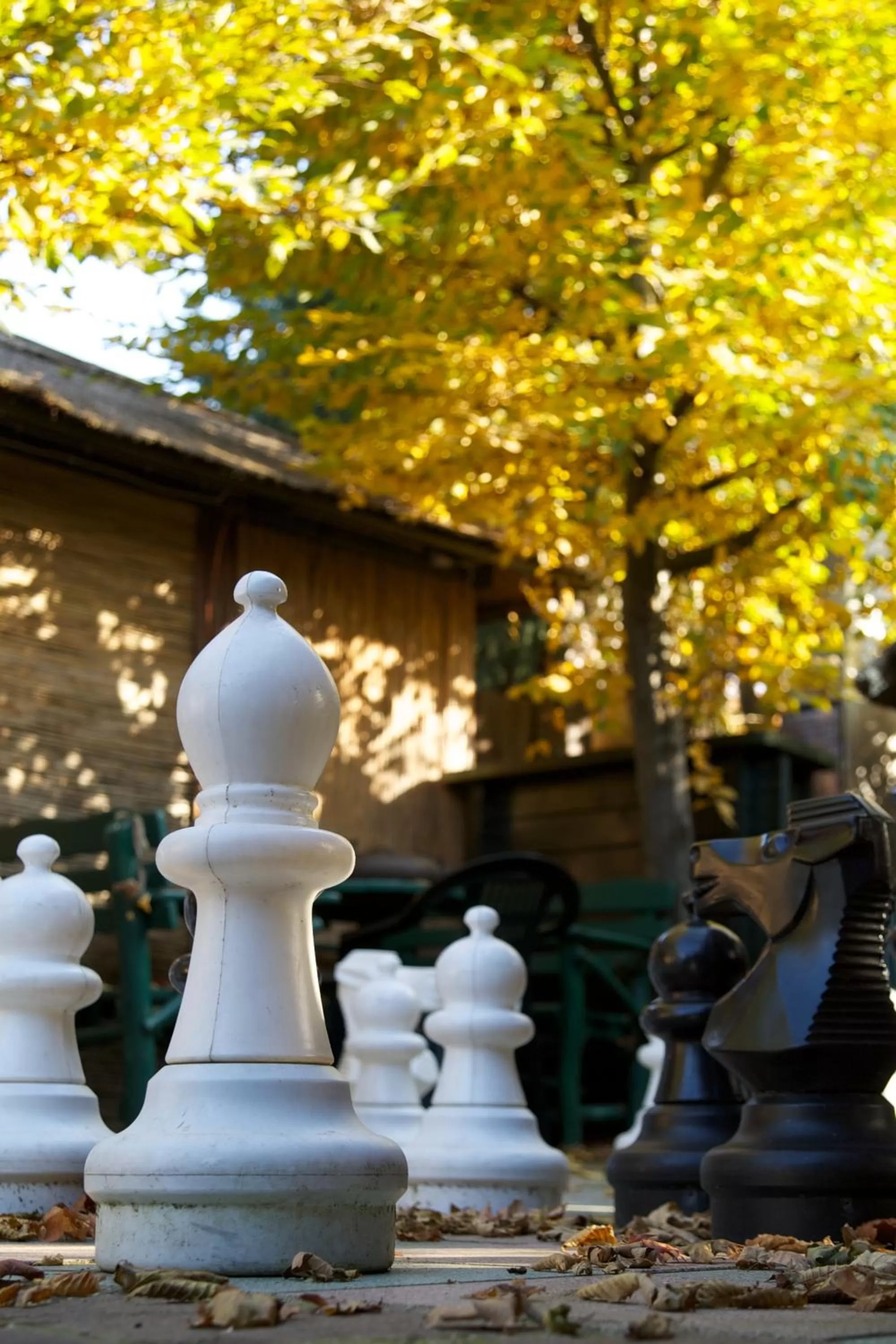 Garden in Hotel Zur Kutsche