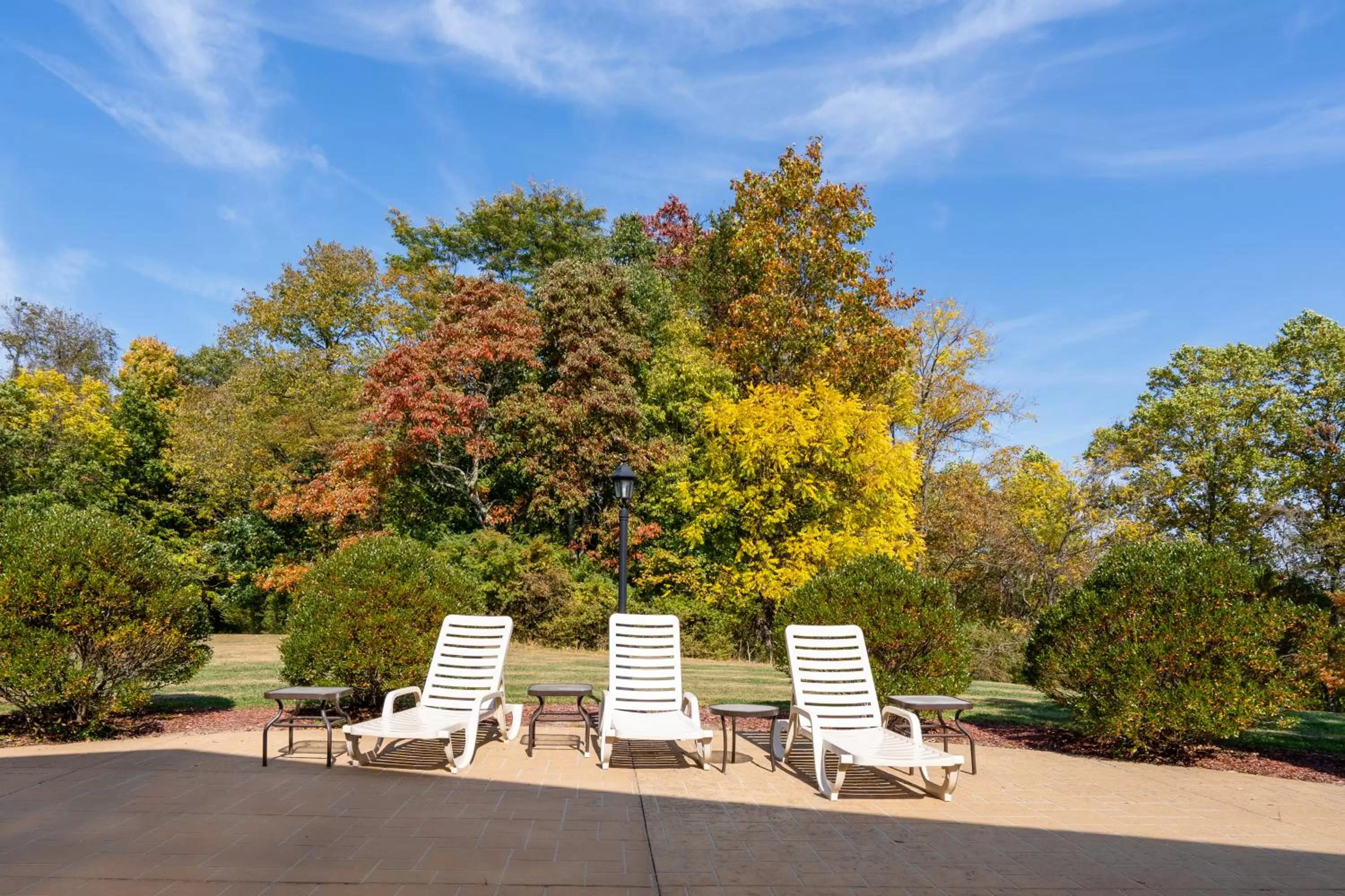sunbed in The Villas at French Lick Springs