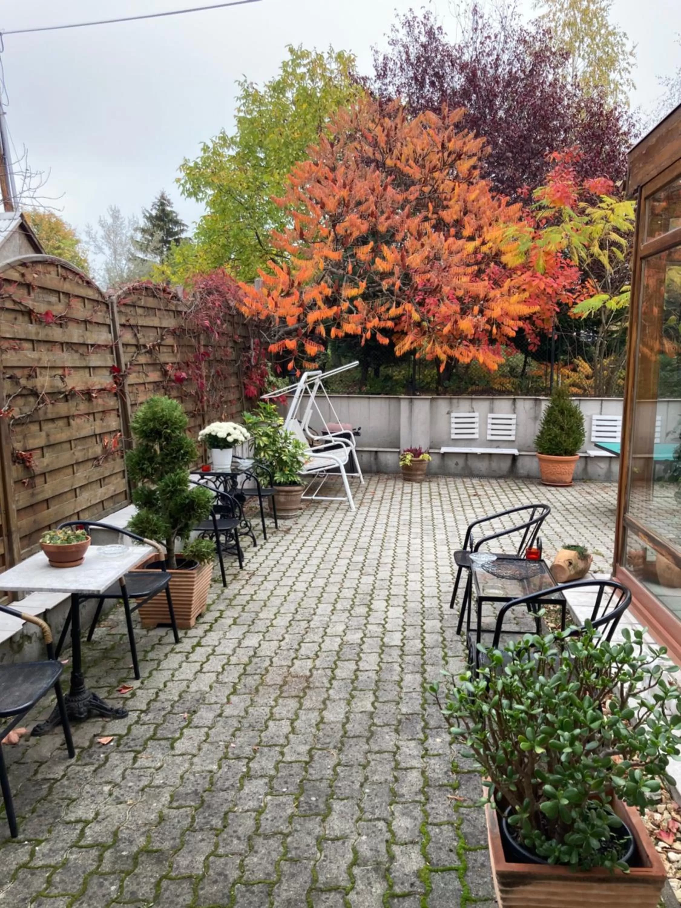 Garden in Villa Panoráma