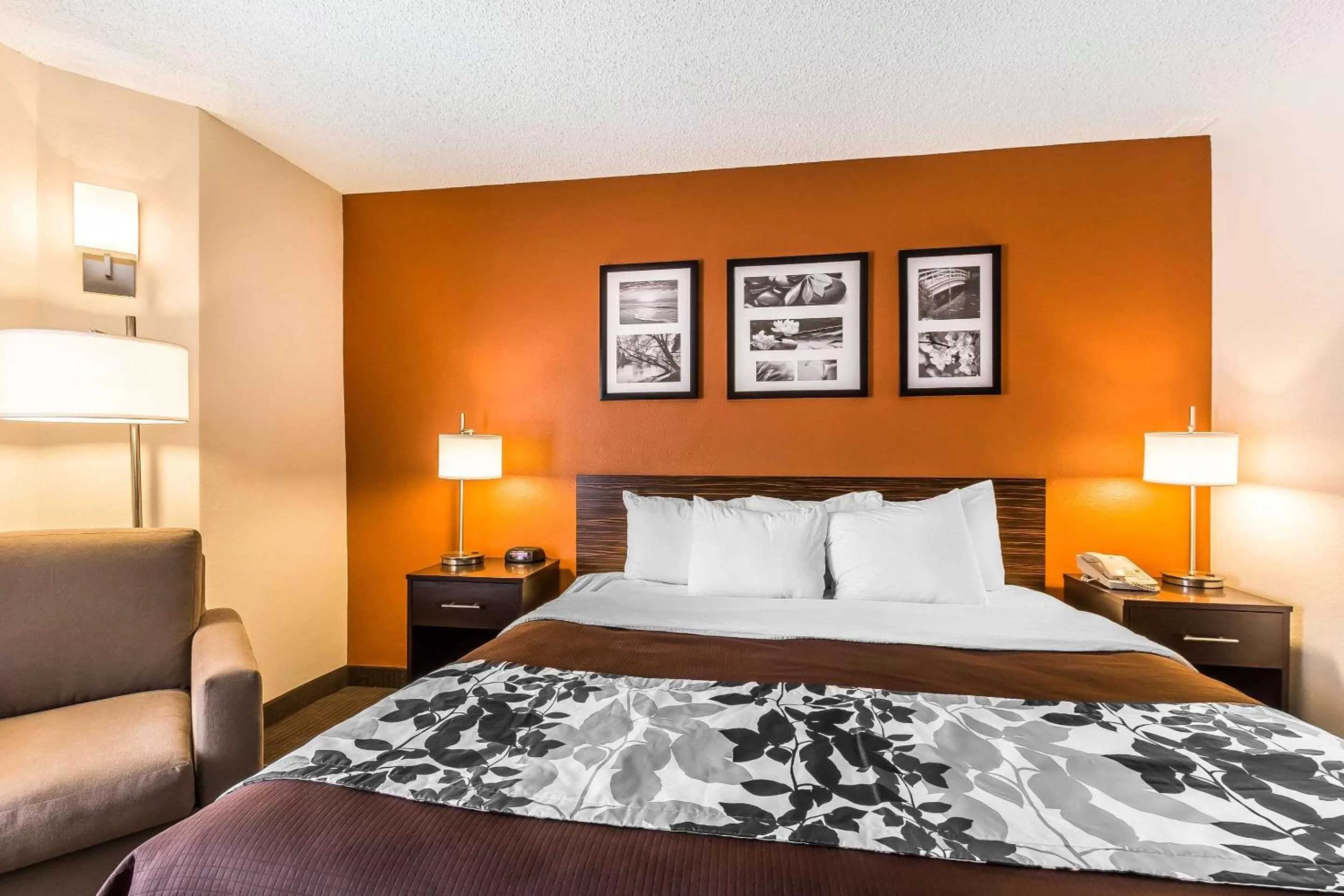 Photo of the whole room, Bed in Sleep Inn Springfield South I60 near Medical District