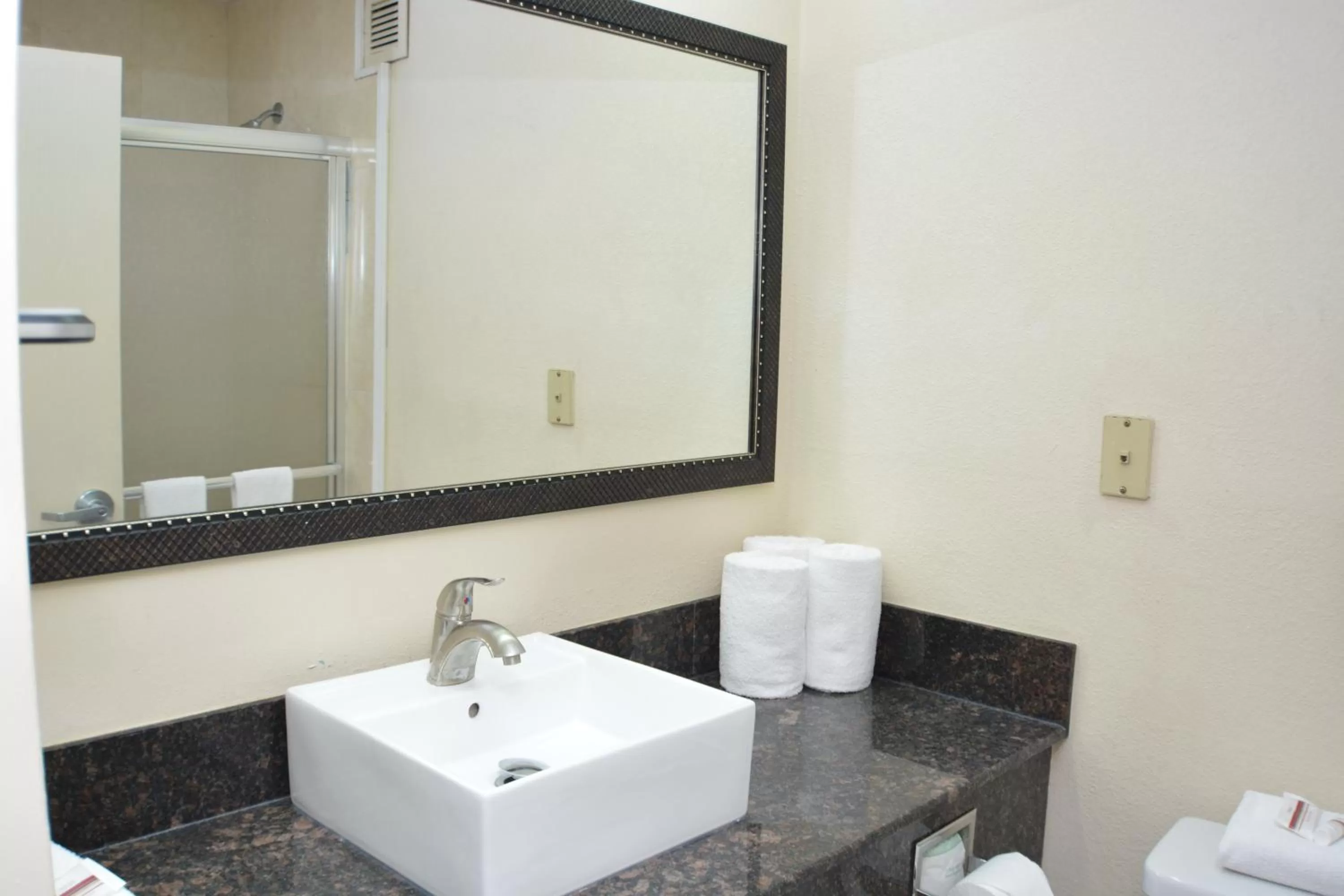 Bathroom in Red Roof Inn PLUS+ & Suites Chattanooga - Downtown