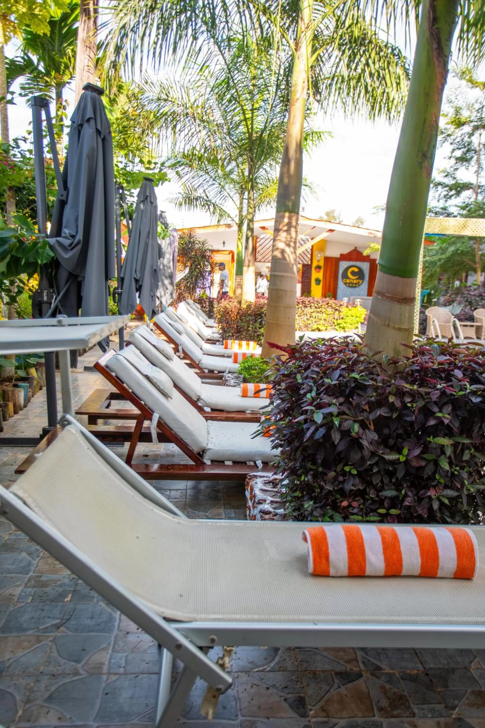 Swimming pool in Canary Nungwi Hotel & Free SPA