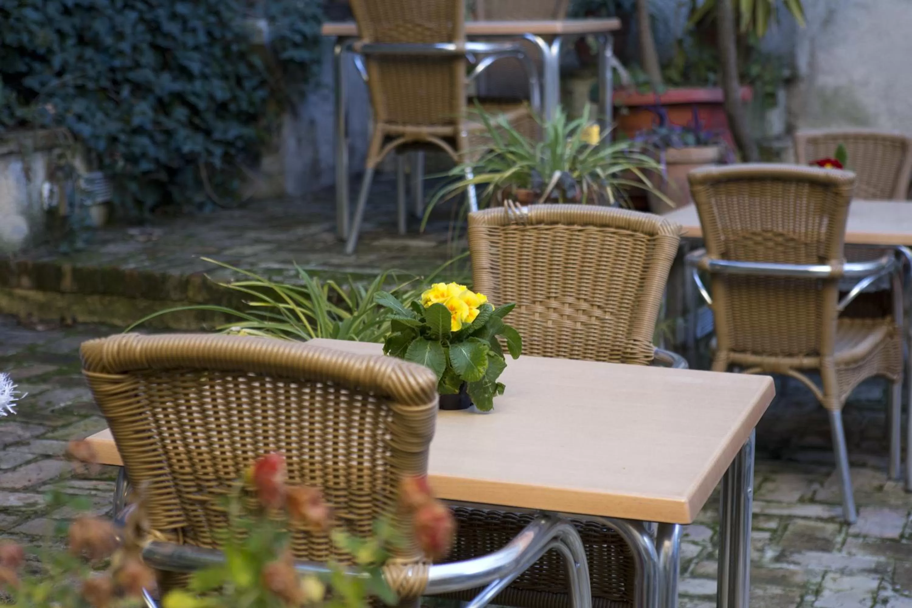 Other in Hotel Boutique Puerta de las Granadas