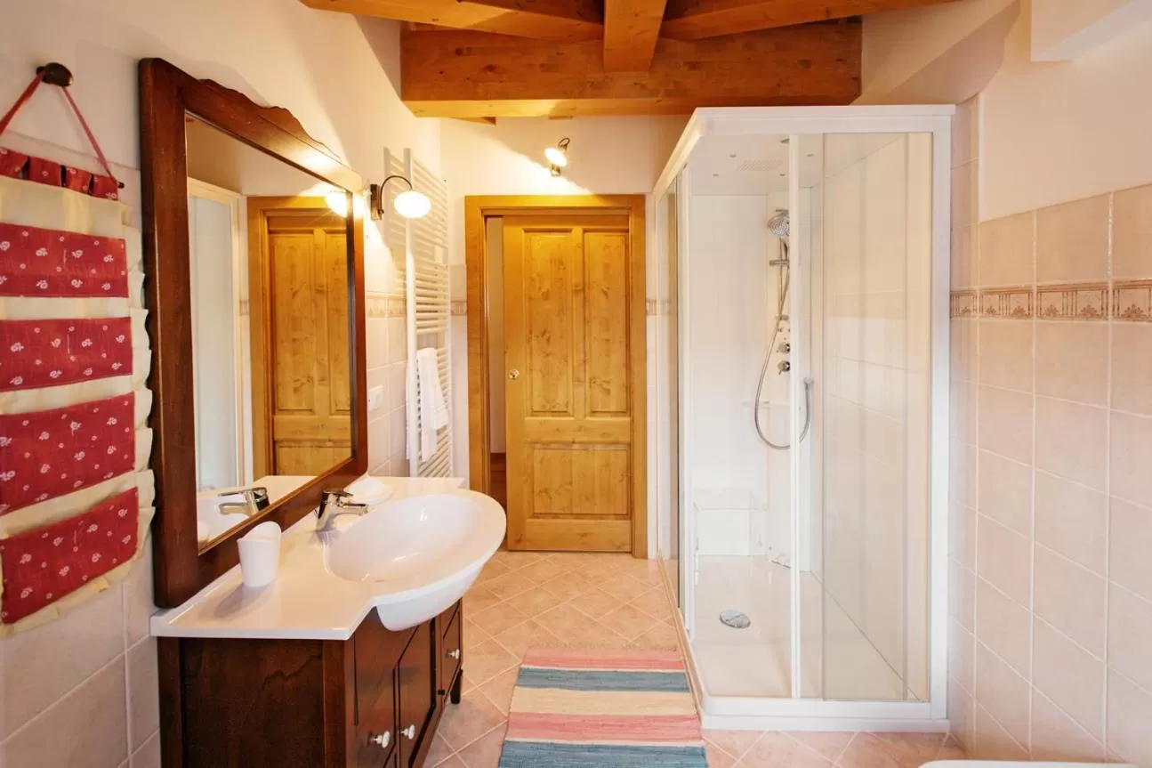 Shower, Bathroom in Albergo Diffuso Tolmezzo