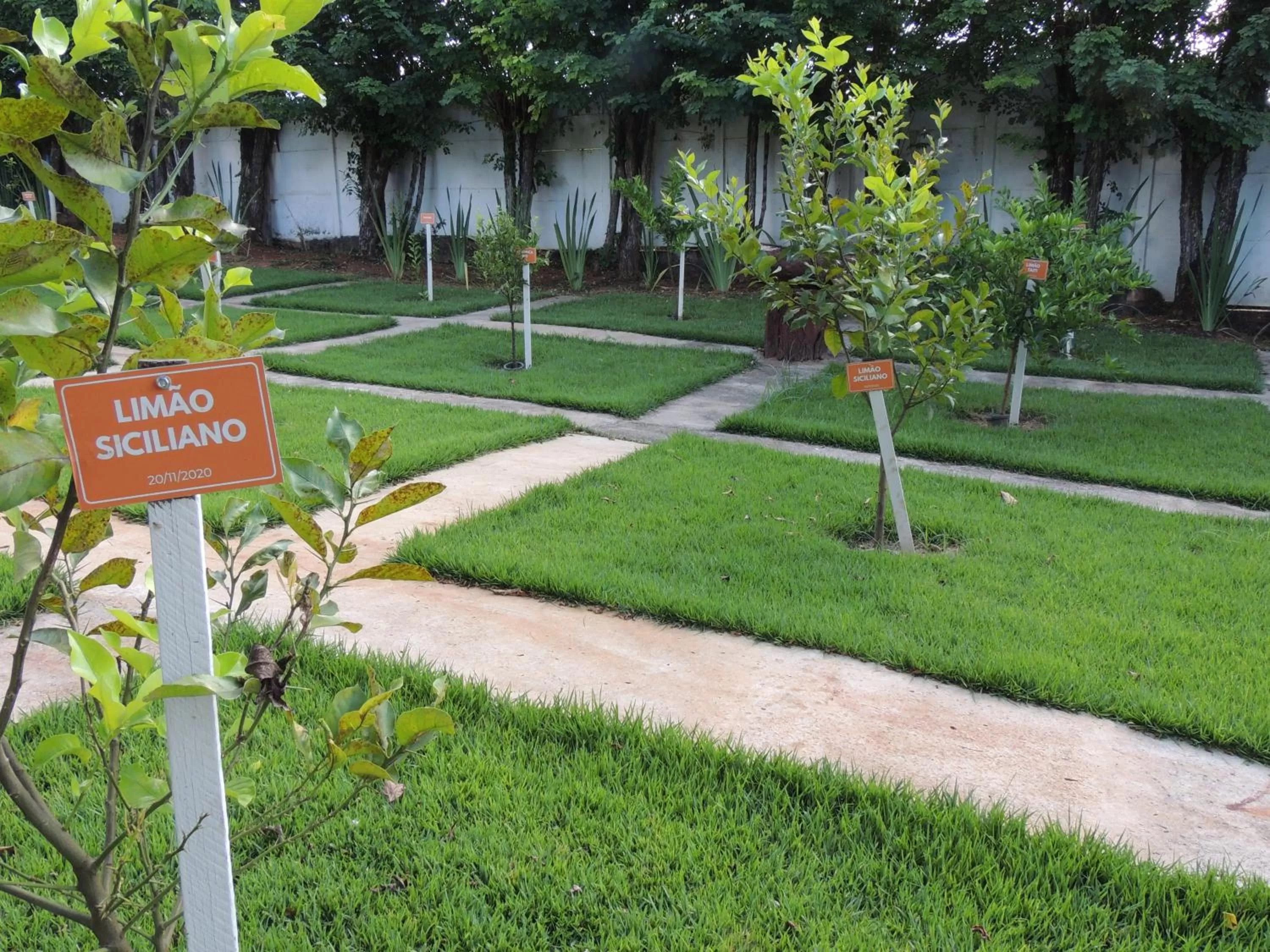 Property building, Garden in Pousada Caminho Dos Sinos