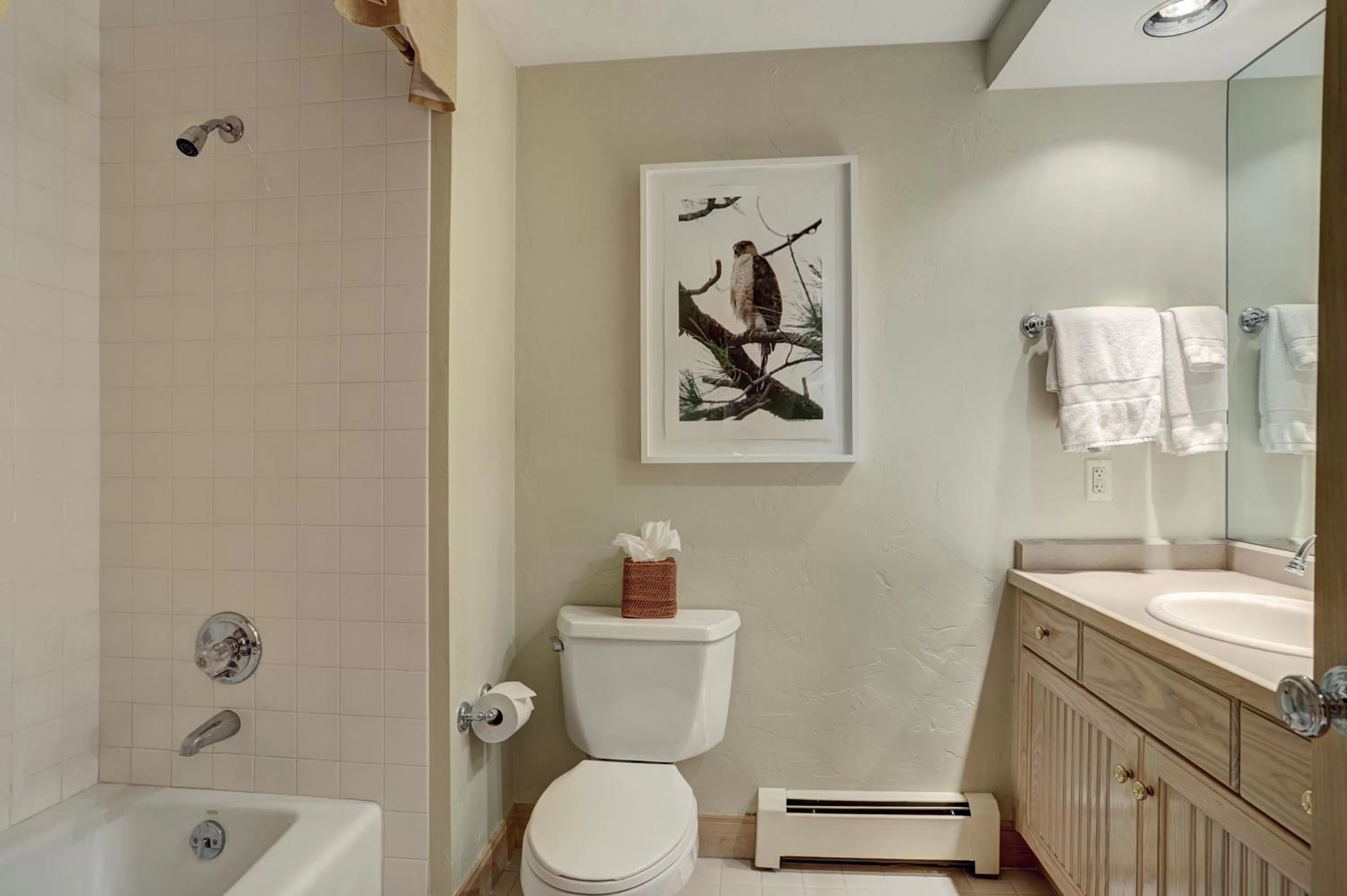 The Pines Lodge, a RockResort, by Vail Resorts