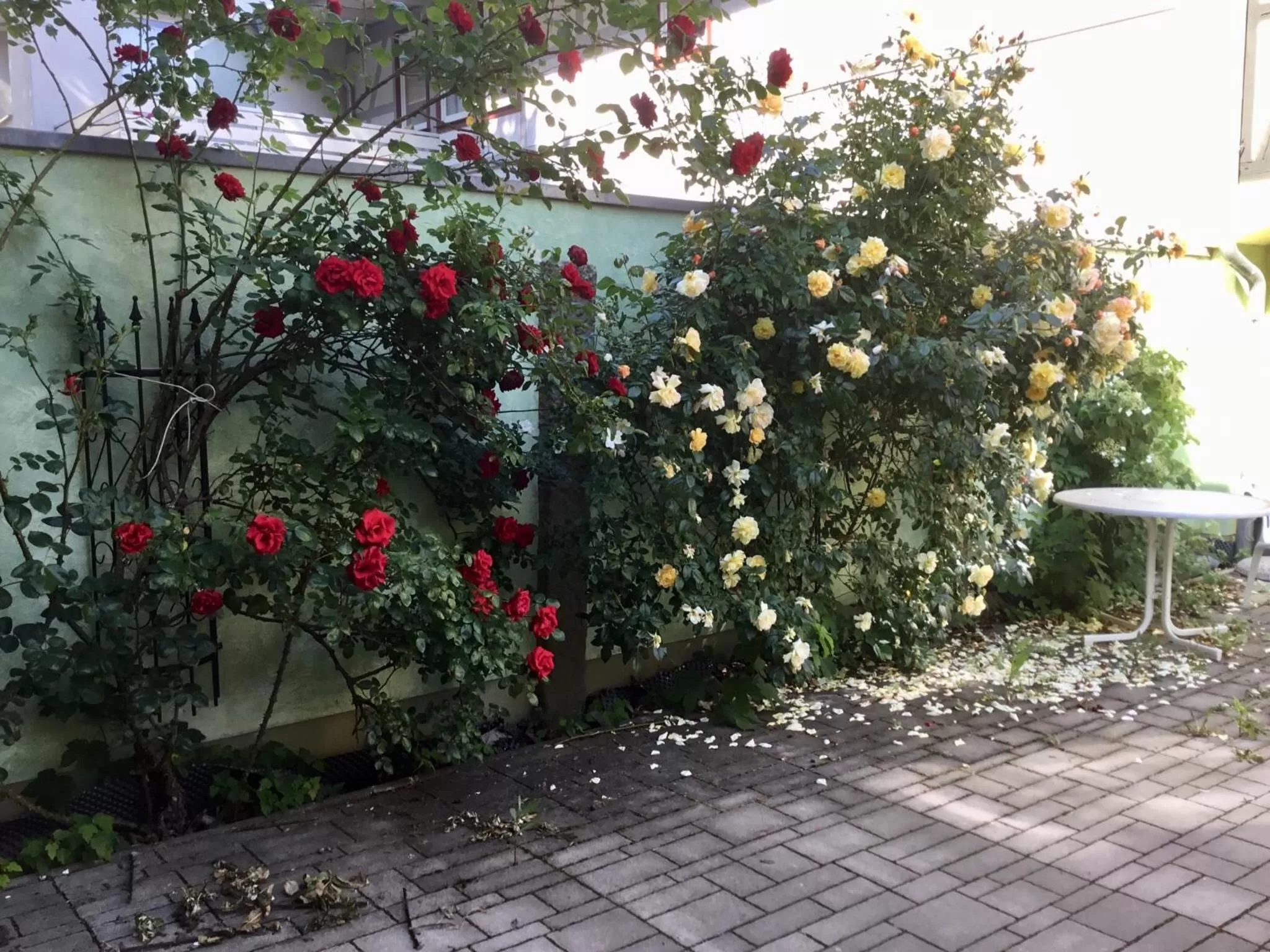 Patio in Ferienwohnungen An der Bimmelbahn Wernigerode