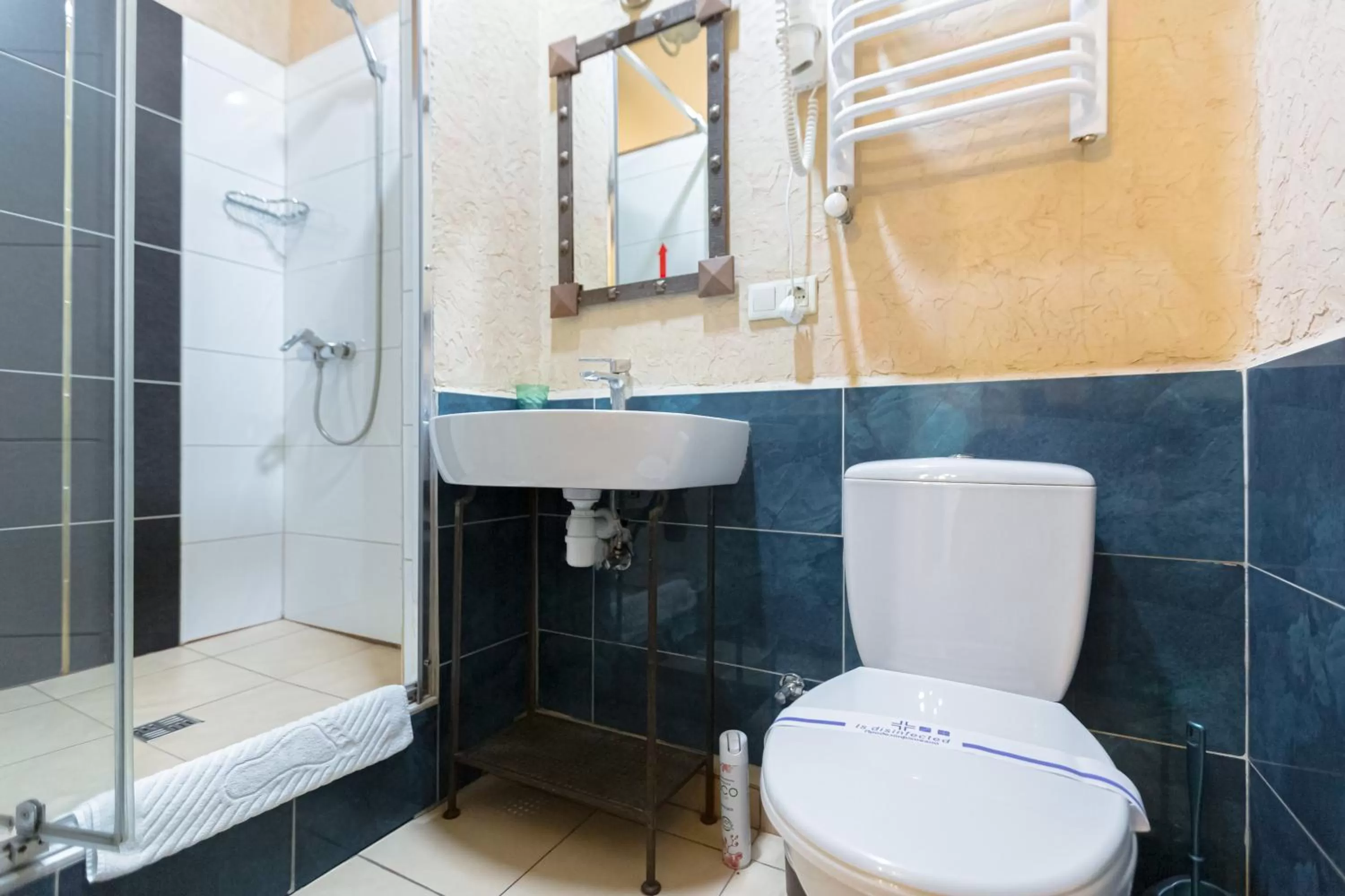 Bathroom in Staryi Krakiv