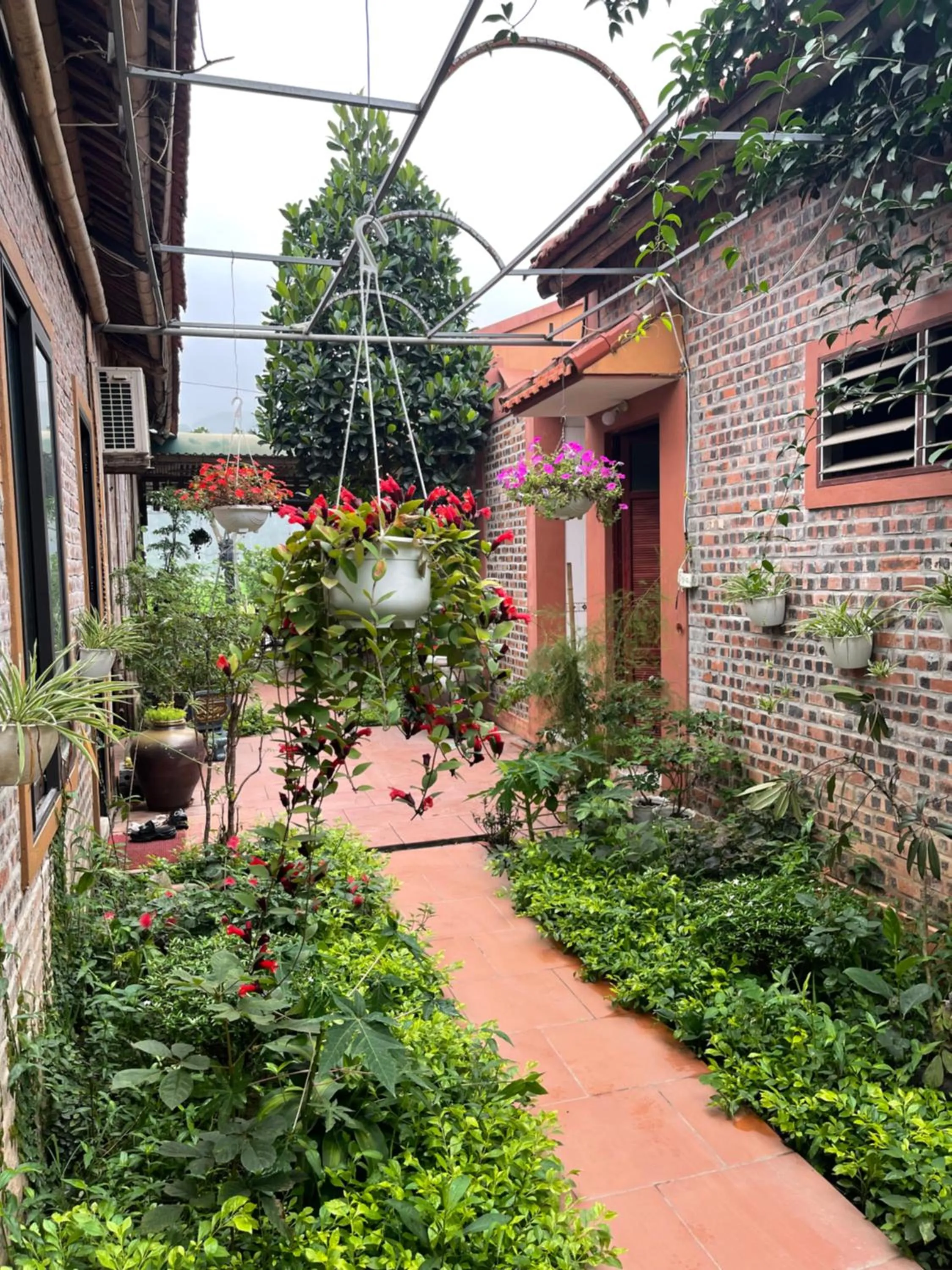 Property Building in Tam Coc Mountain View Homestay