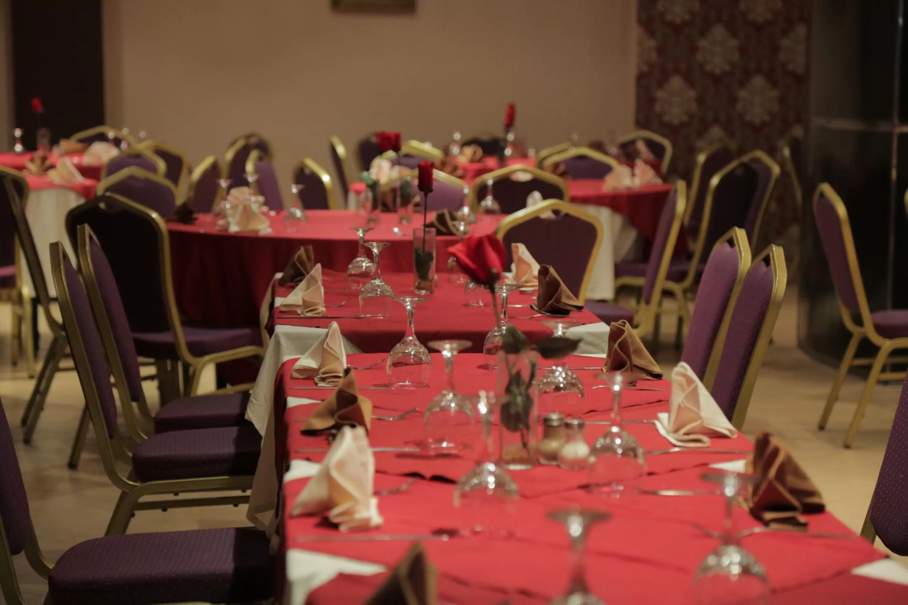 Restaurant/places to eat in Hotel Suisse