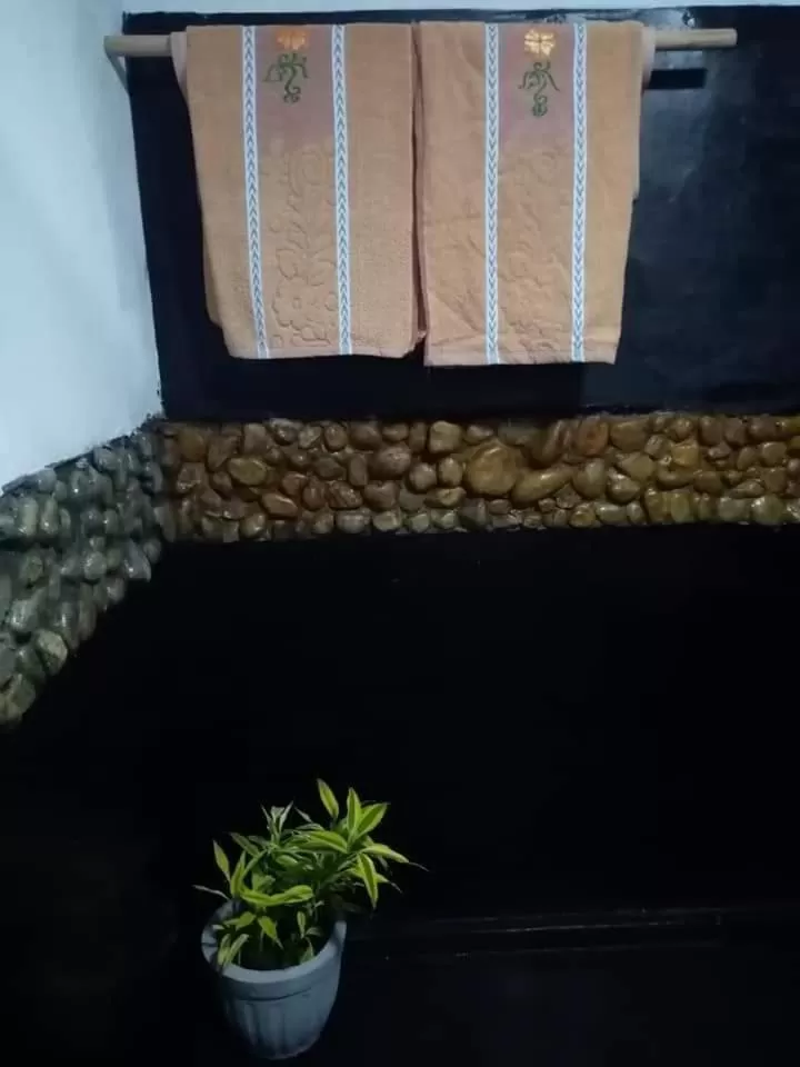 The Horizon Root Inn