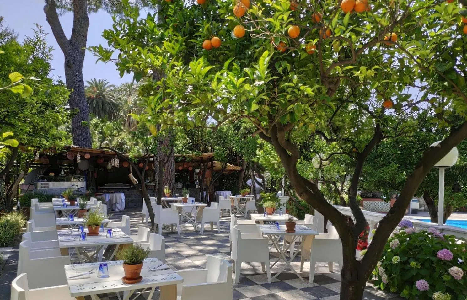 Restaurant/places to eat in Grand Hotel Cocumella