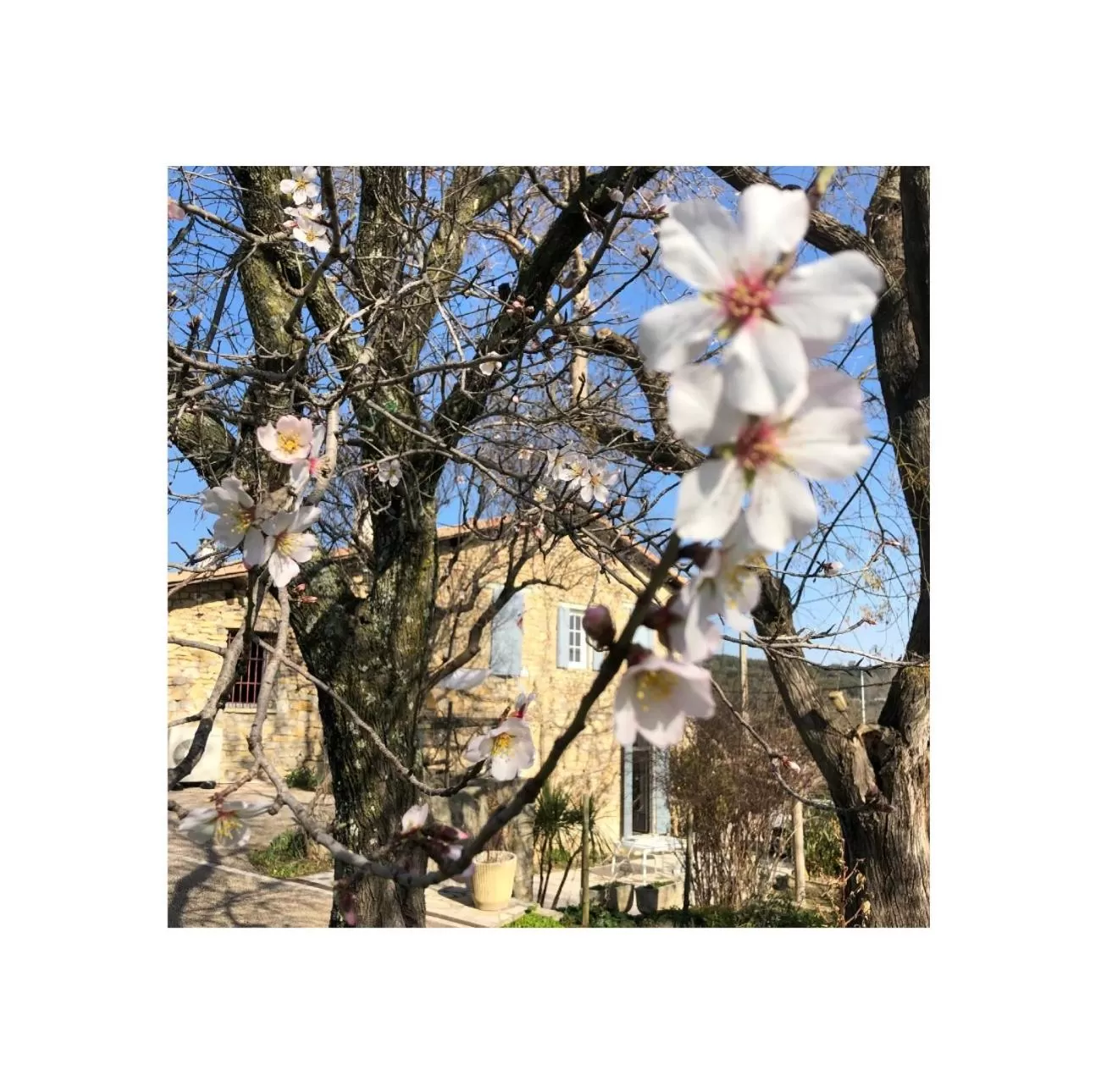 Property building in Le Mas des Oliviers Nîmes