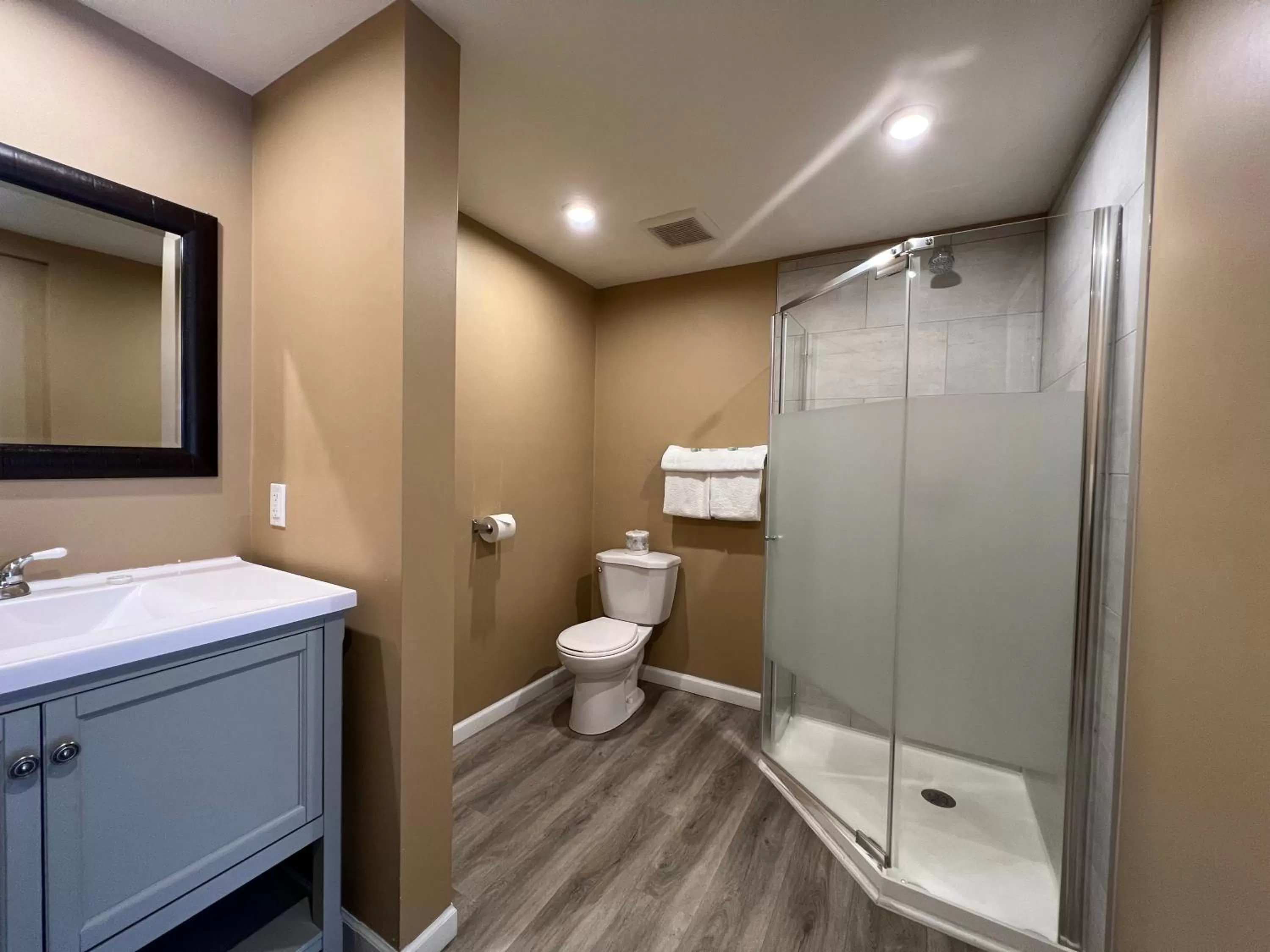 Shower in Villa Motel