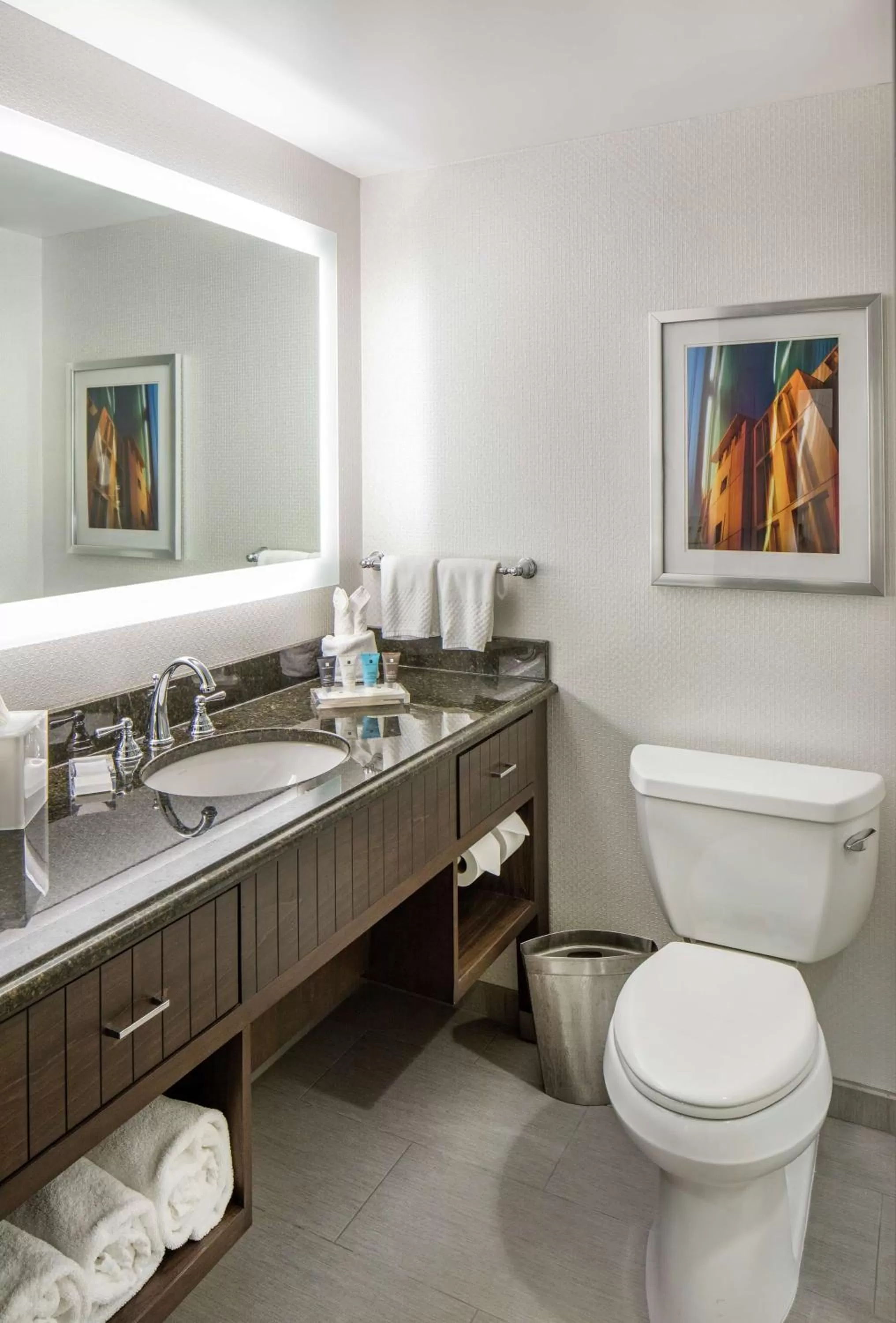 Bathroom in Hilton Minneapolis