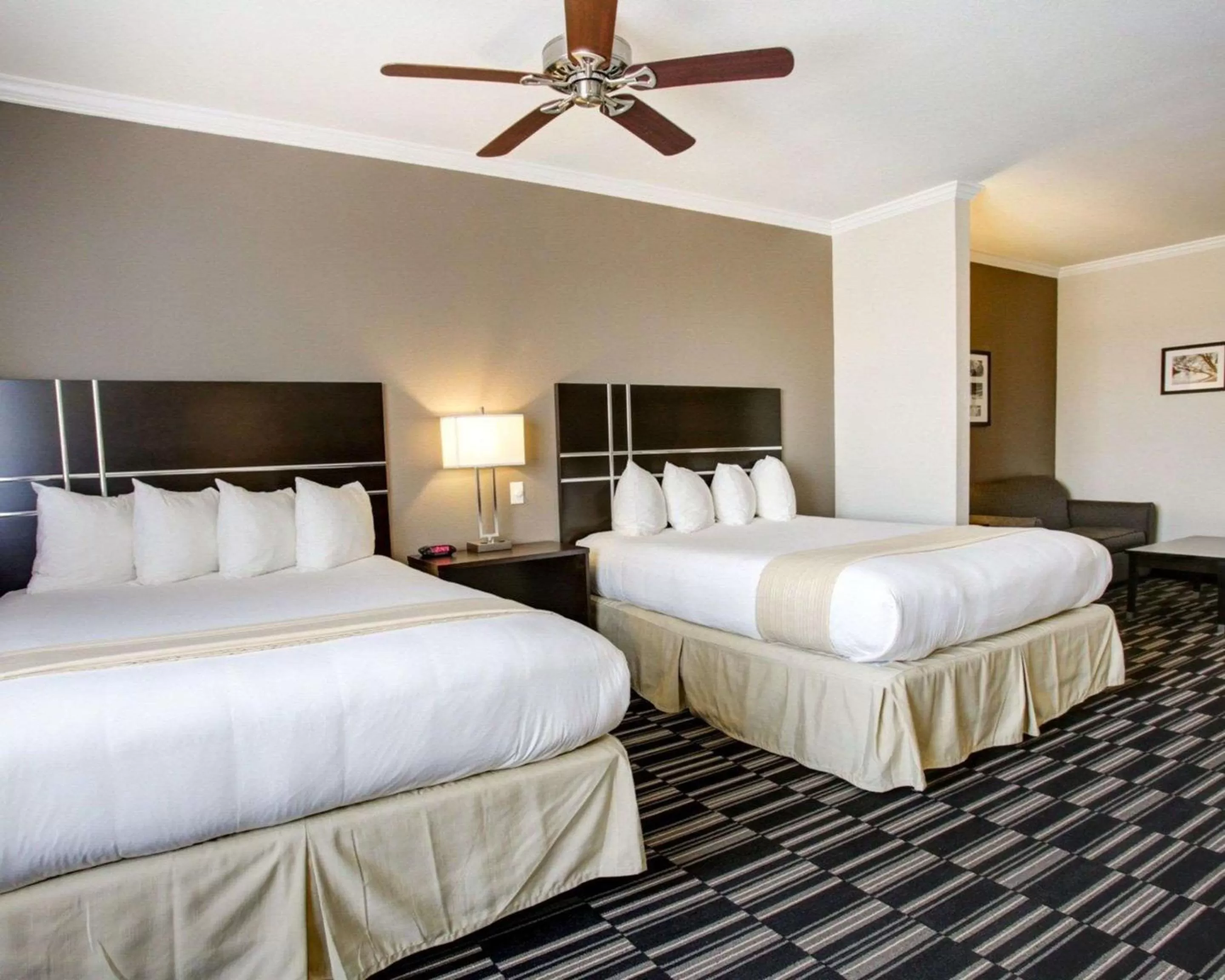 Photo of the whole room, Bed in Quality Inn & Suites Bryan-College Station