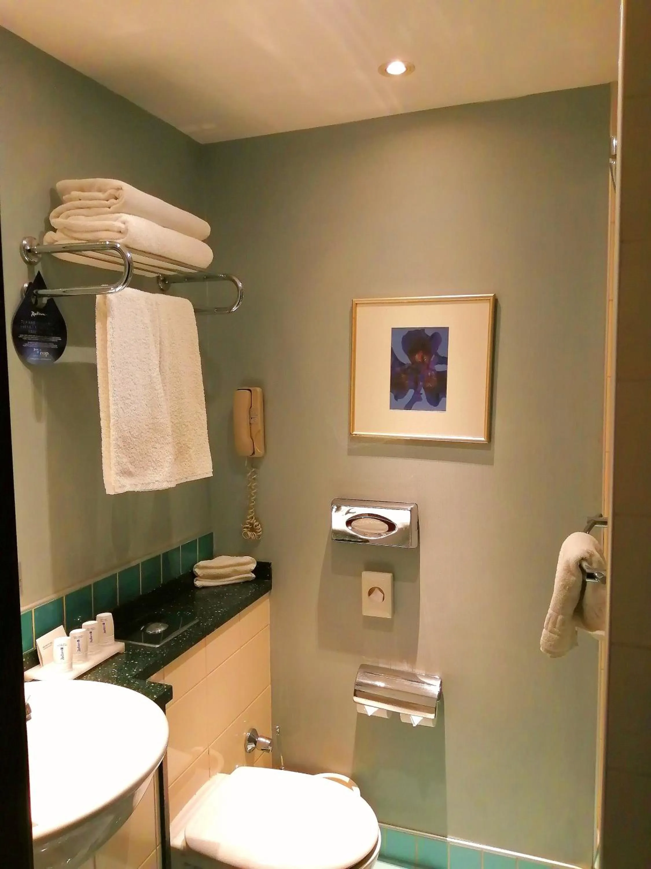 Bathroom in Radisson Blu Ankara