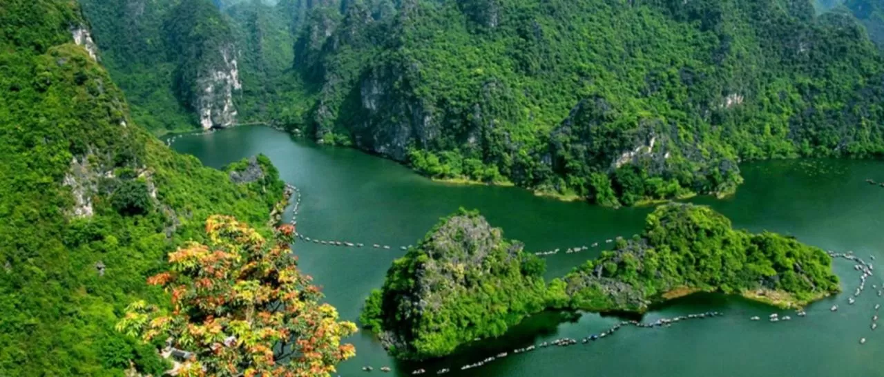 Natural landscape in Green Space Homestay