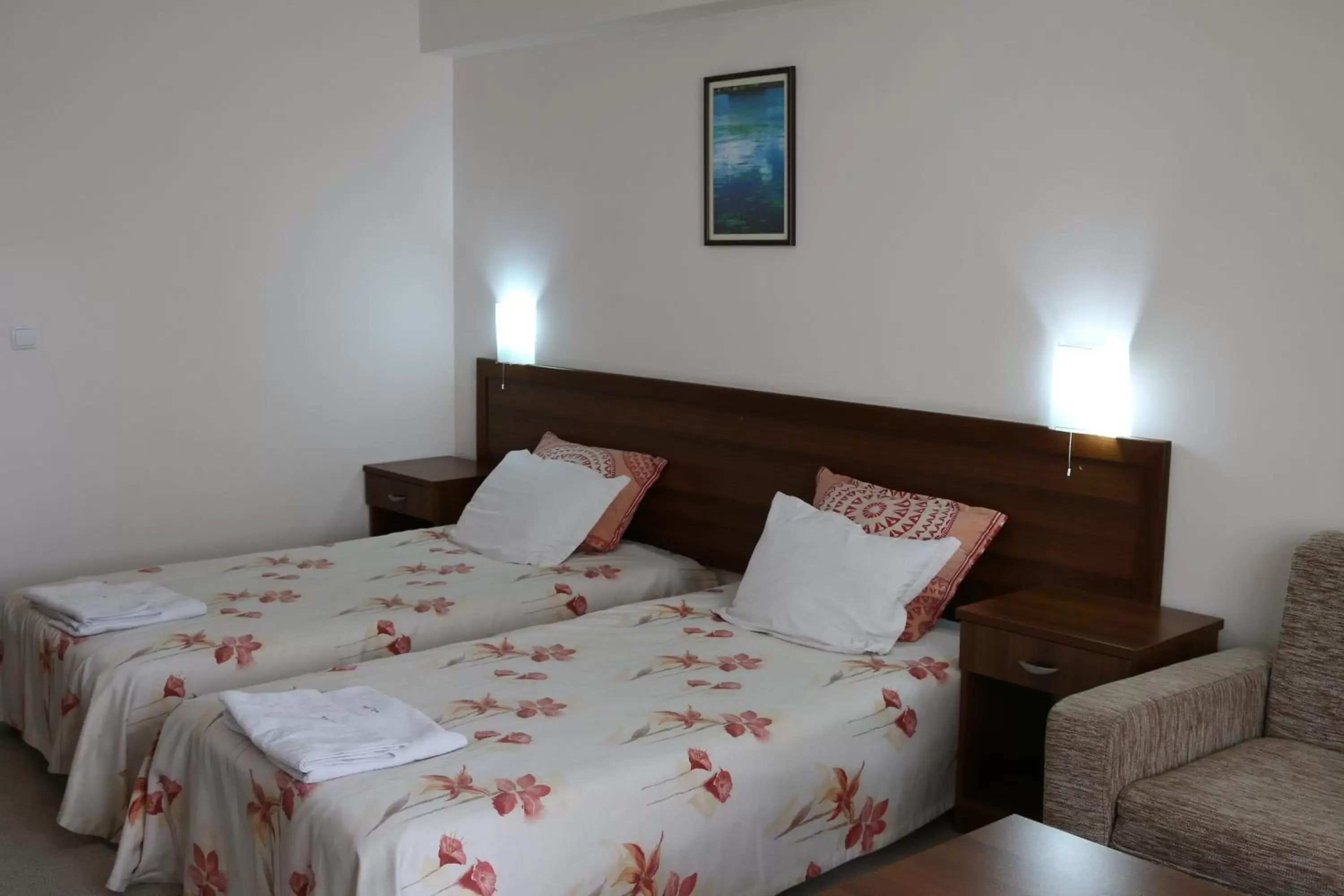 Standard Double Room - single occupancy in Kralev Dvor Hotel Standard Double Room - single occupancy in Kralev Dvor Hotel