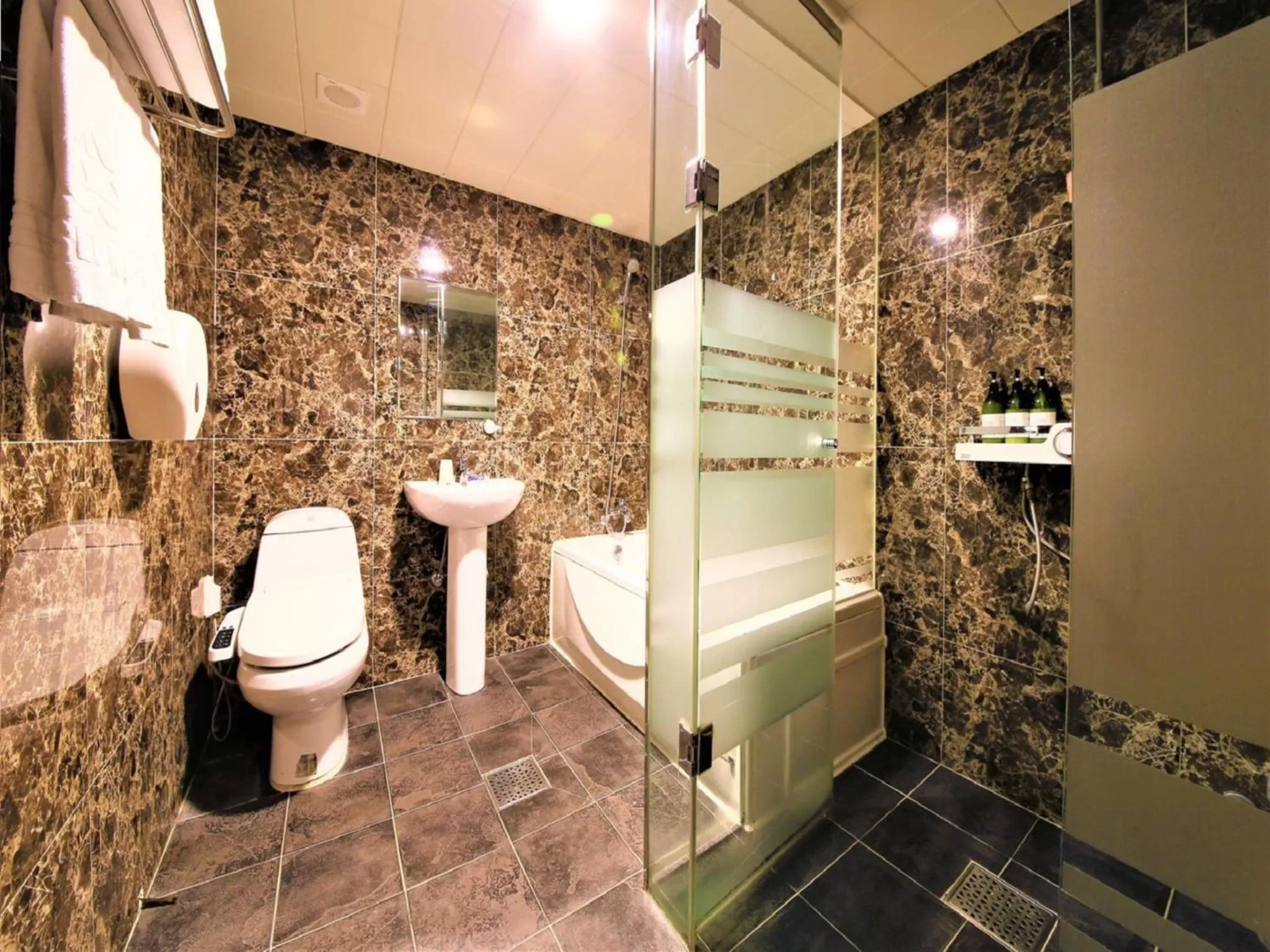 Shower in Elysee Hotel