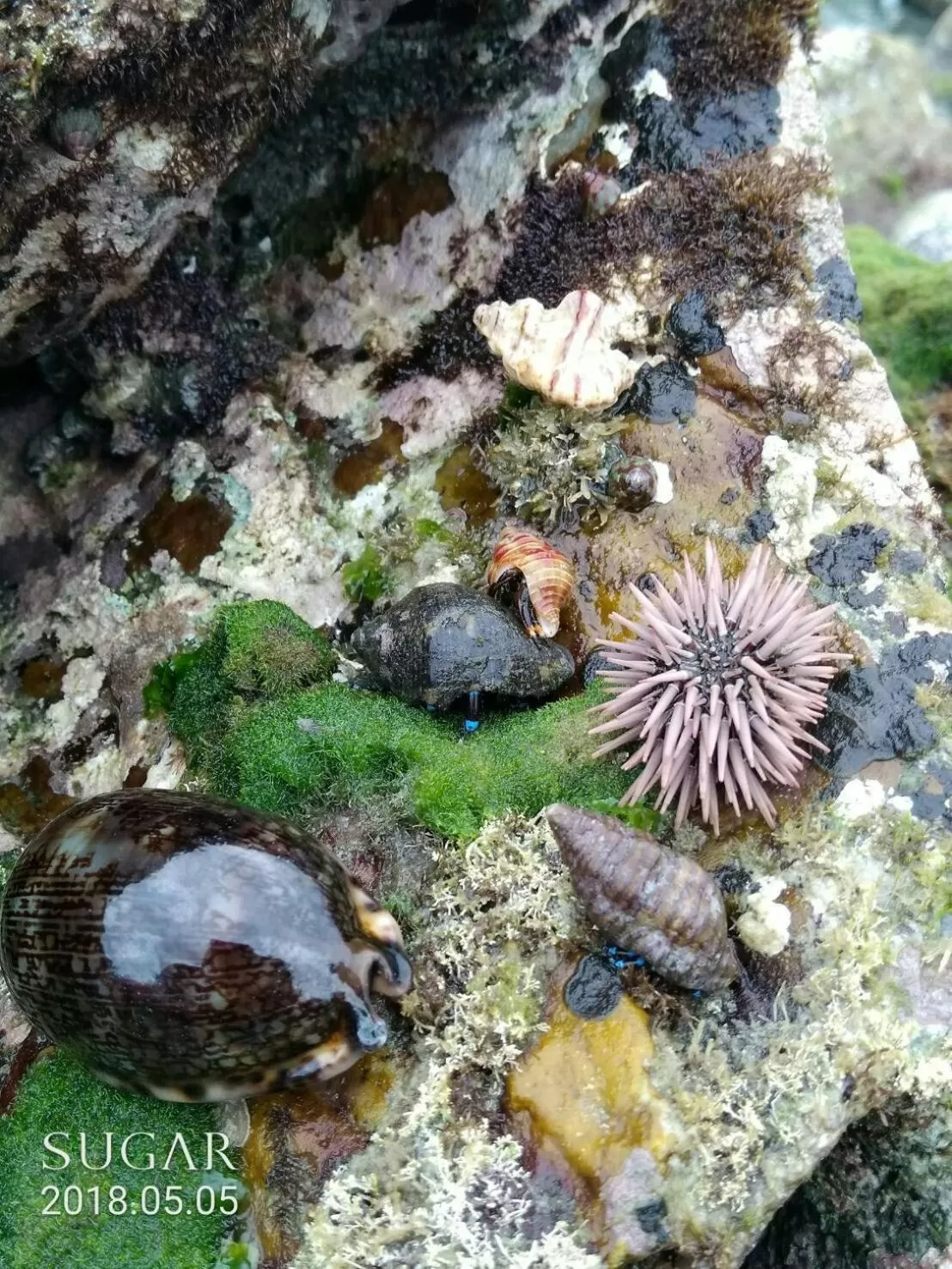 Activities in Hotel Lohas