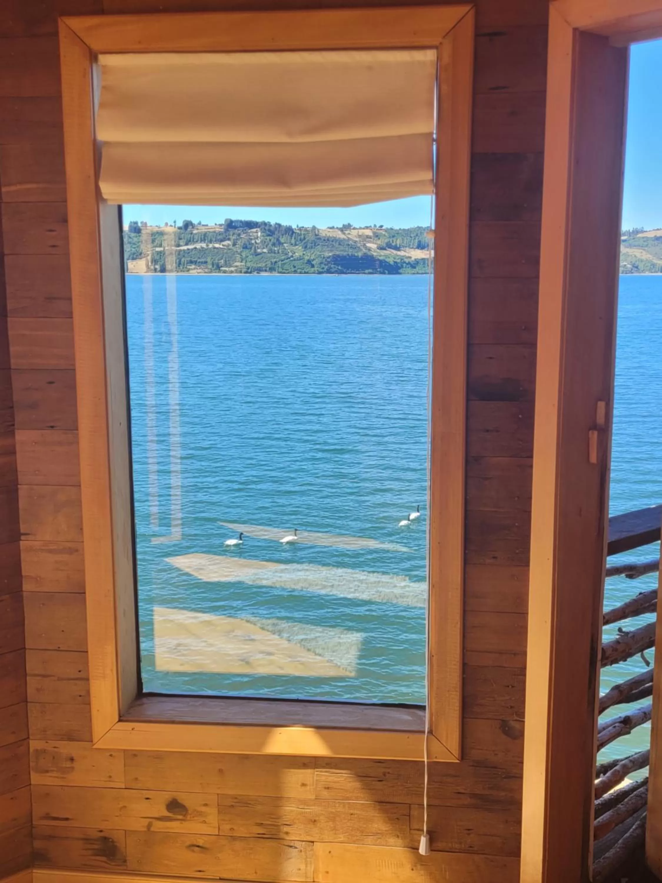 Day, Sea View in ALMA CHILOTA