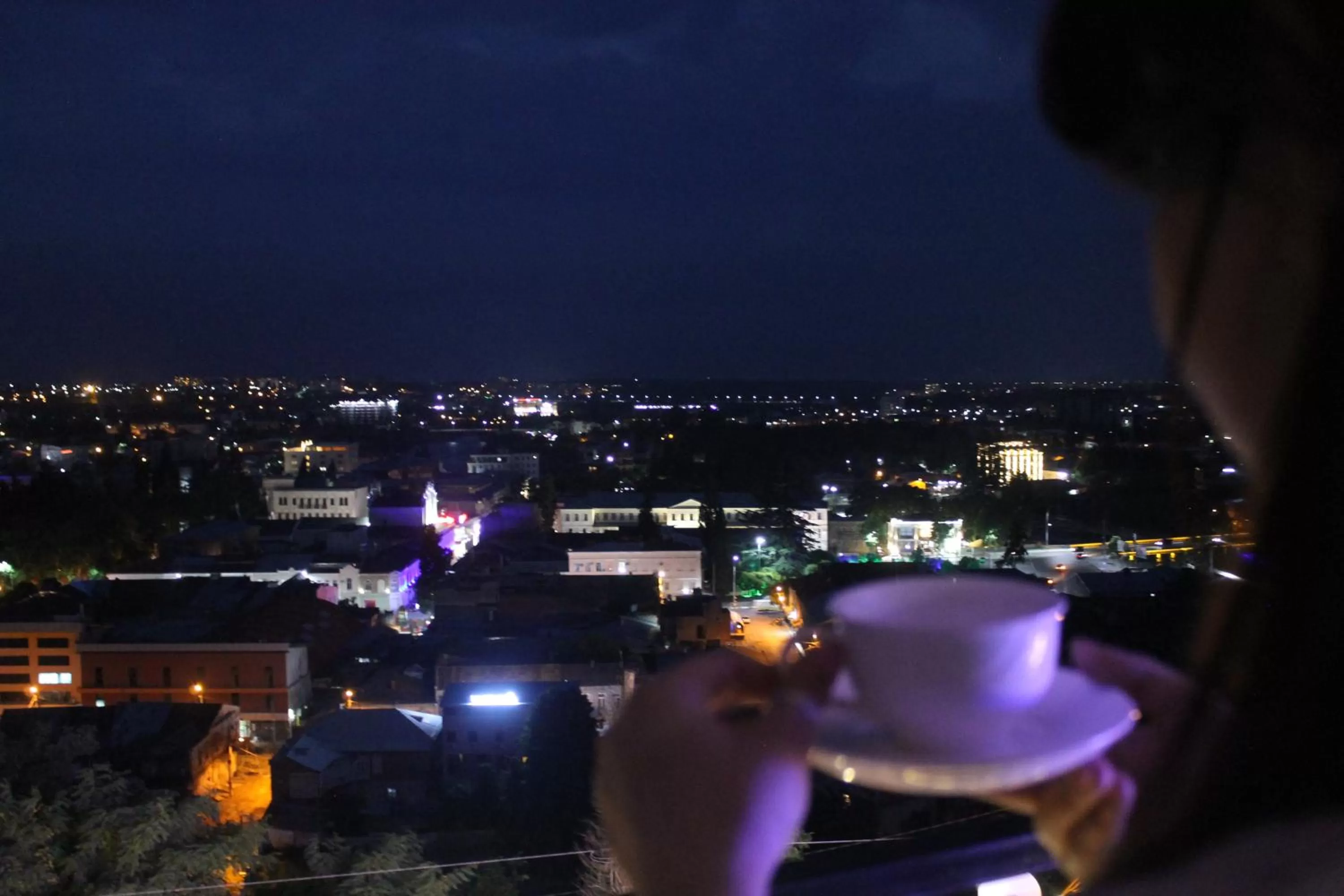 Balcony/Terrace in Hotel Tskhumi