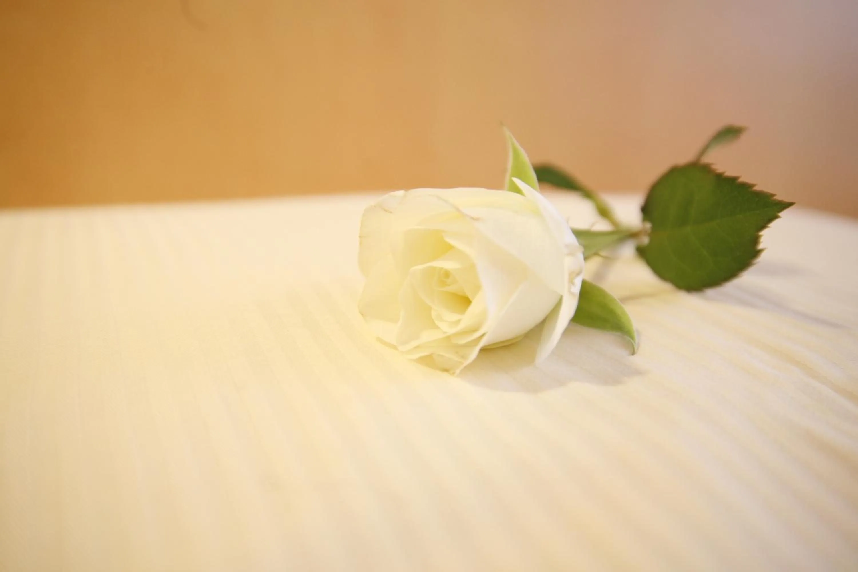 Other, Bed in Hotel St. Pierre