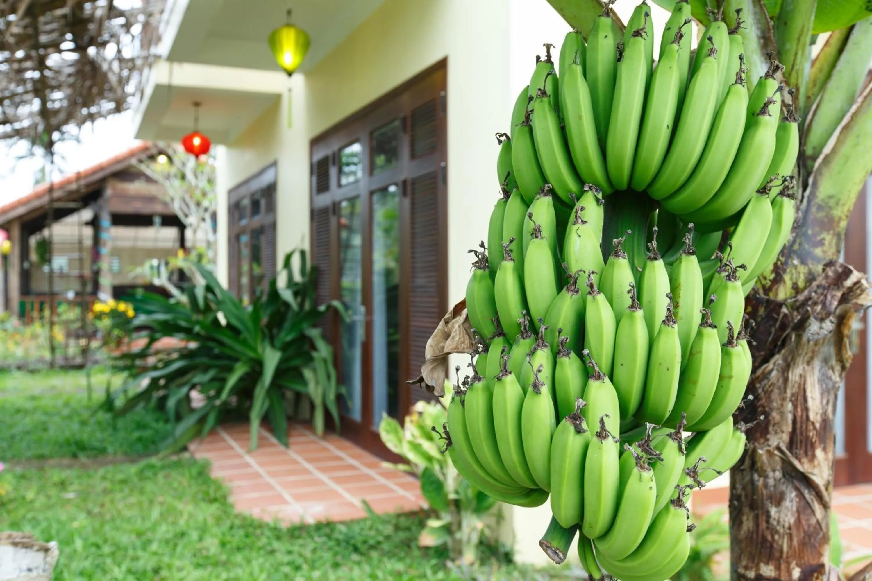 Garden in Lama Villa Hoi An