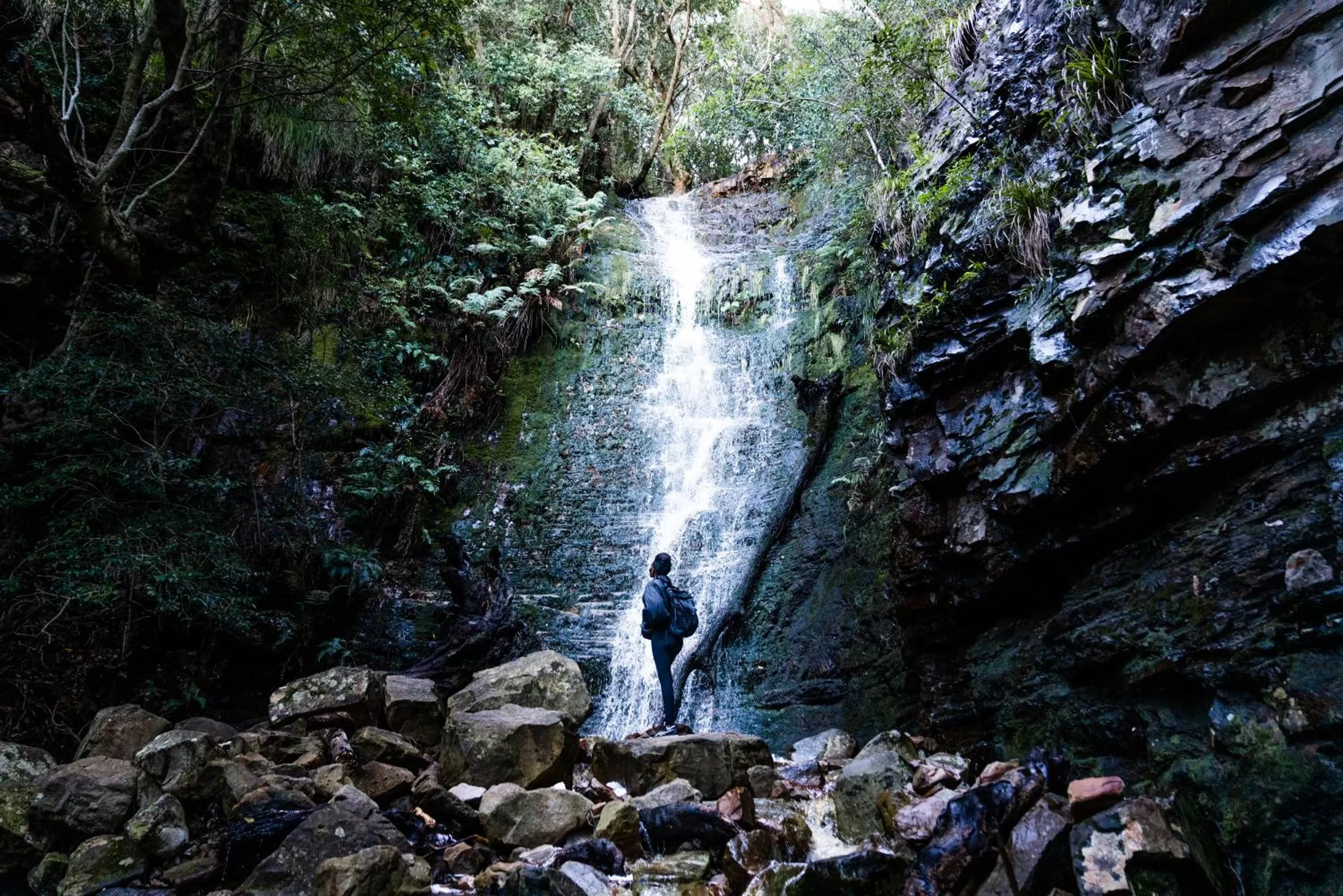 Natural landscape in Future Found Sanctuary, Luxury Boutique Hotel by NEWMARK