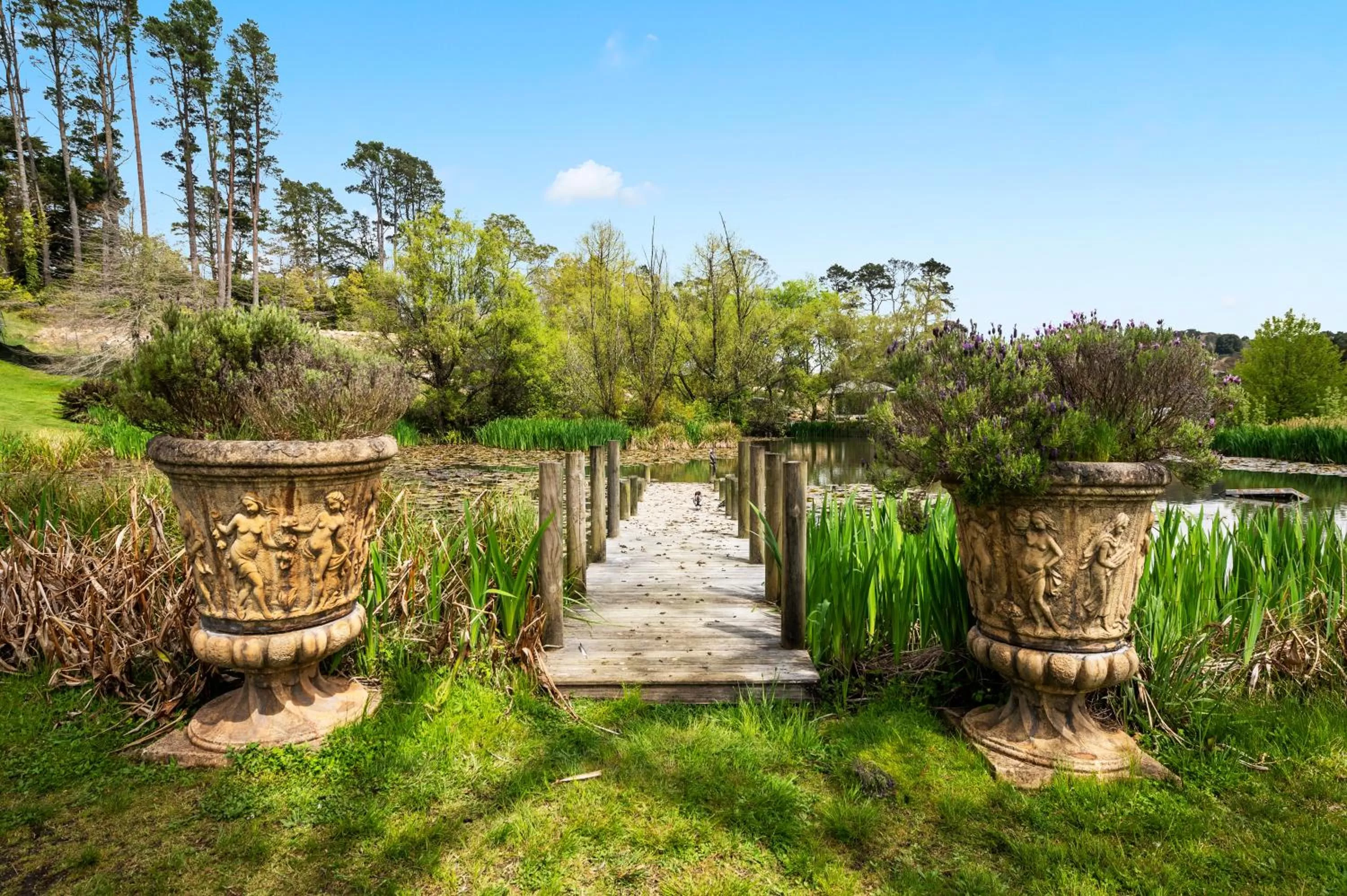 Natural landscape in Parklands Country Gardens & Lodges Blue Mountains