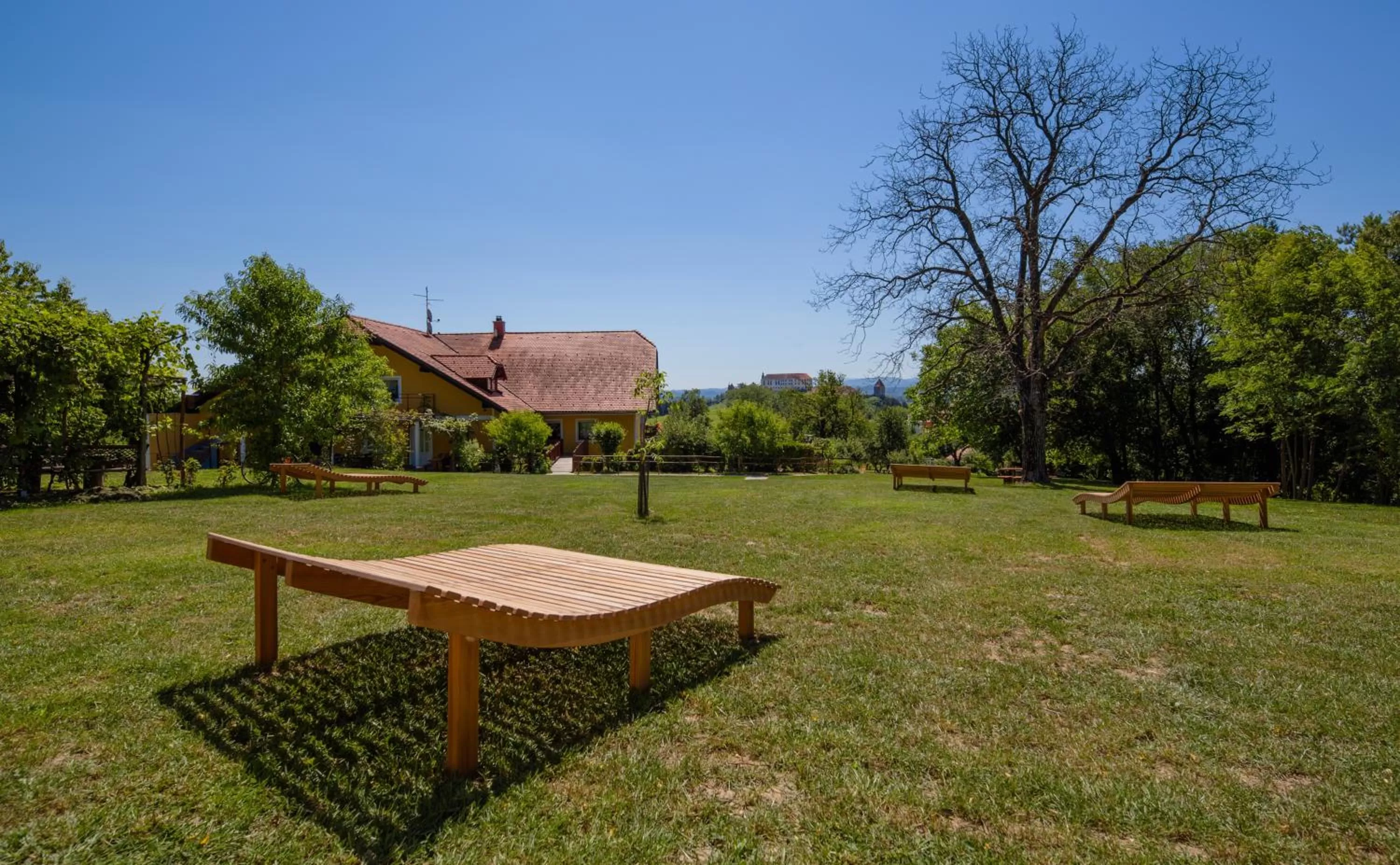 Garden view in Panorama B&B