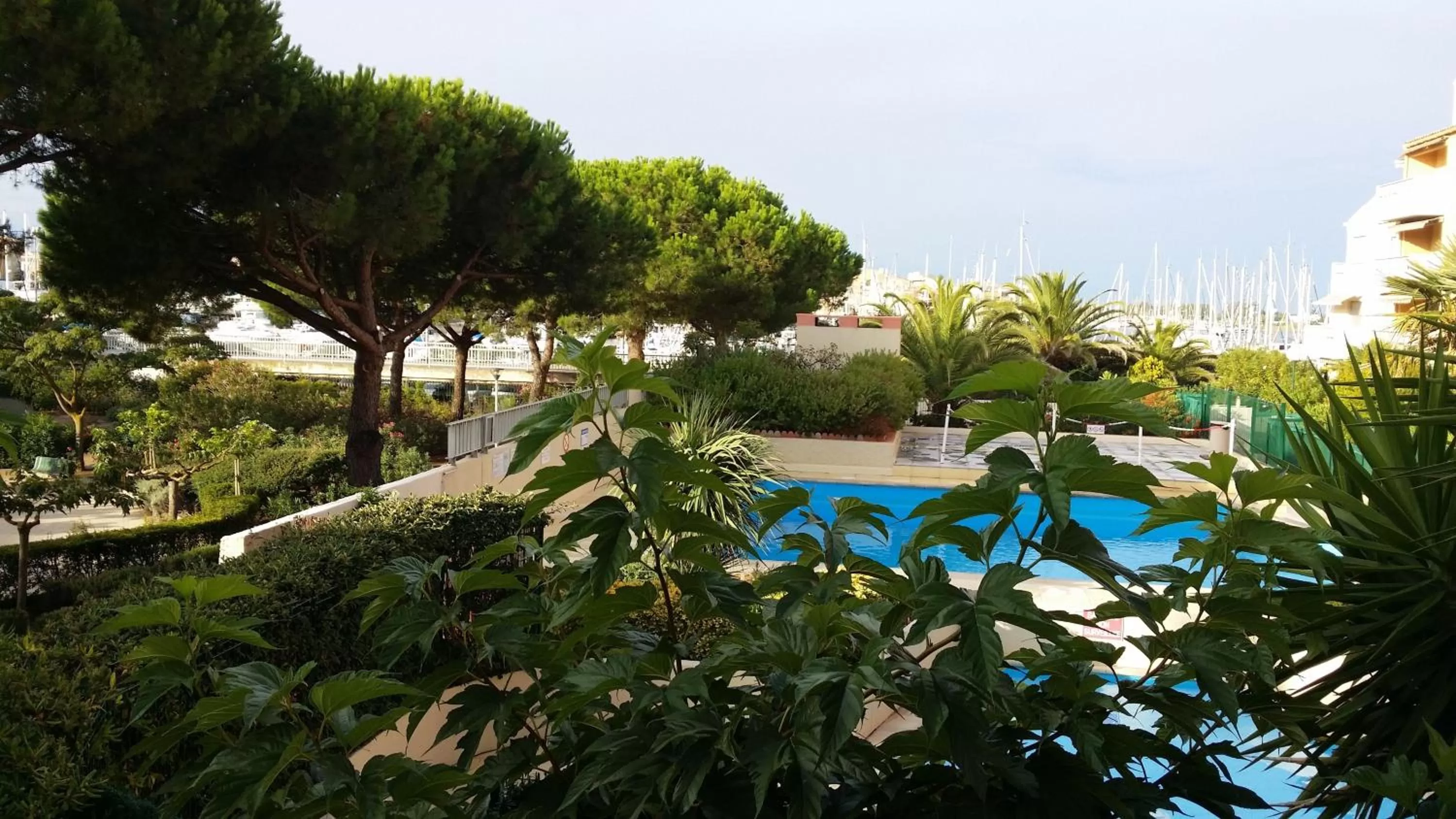Swimming pool in La Voile D' Or
