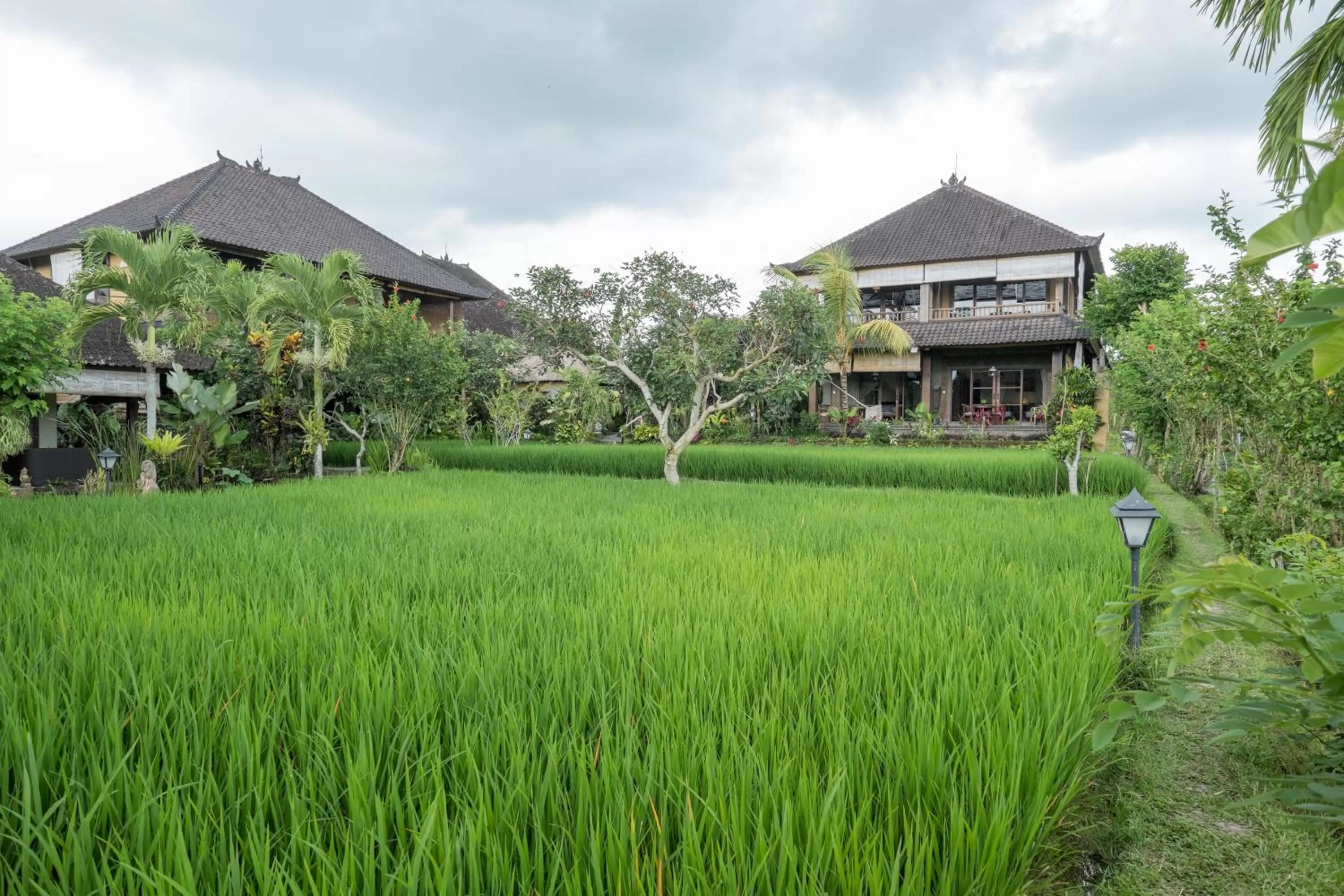 Garden in Bliss Ubud Spa Resort