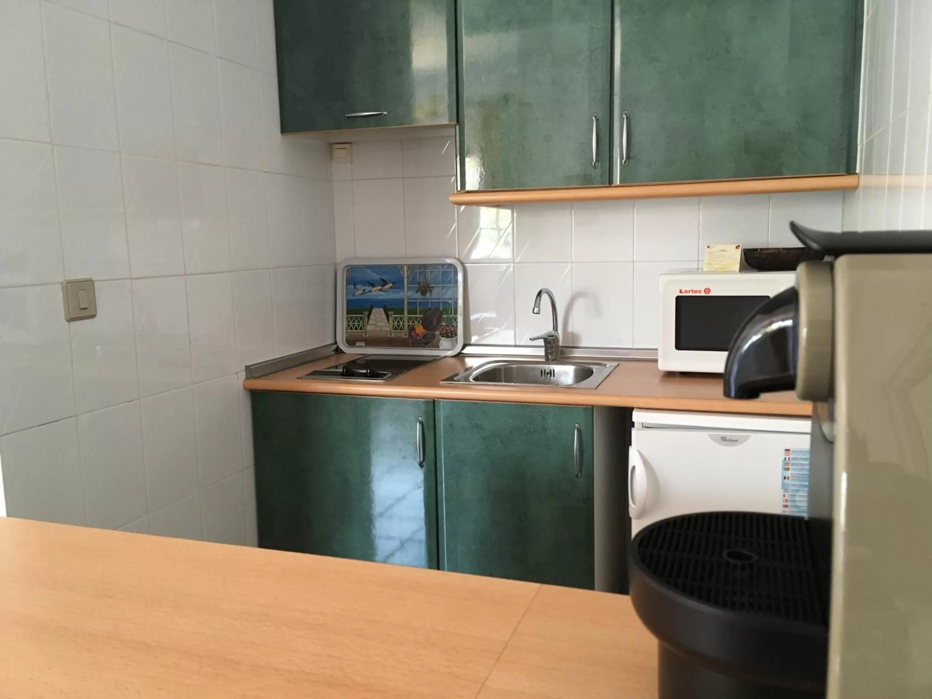 Kitchen or kitchenette in Apartamentos Atalayas Extremadura