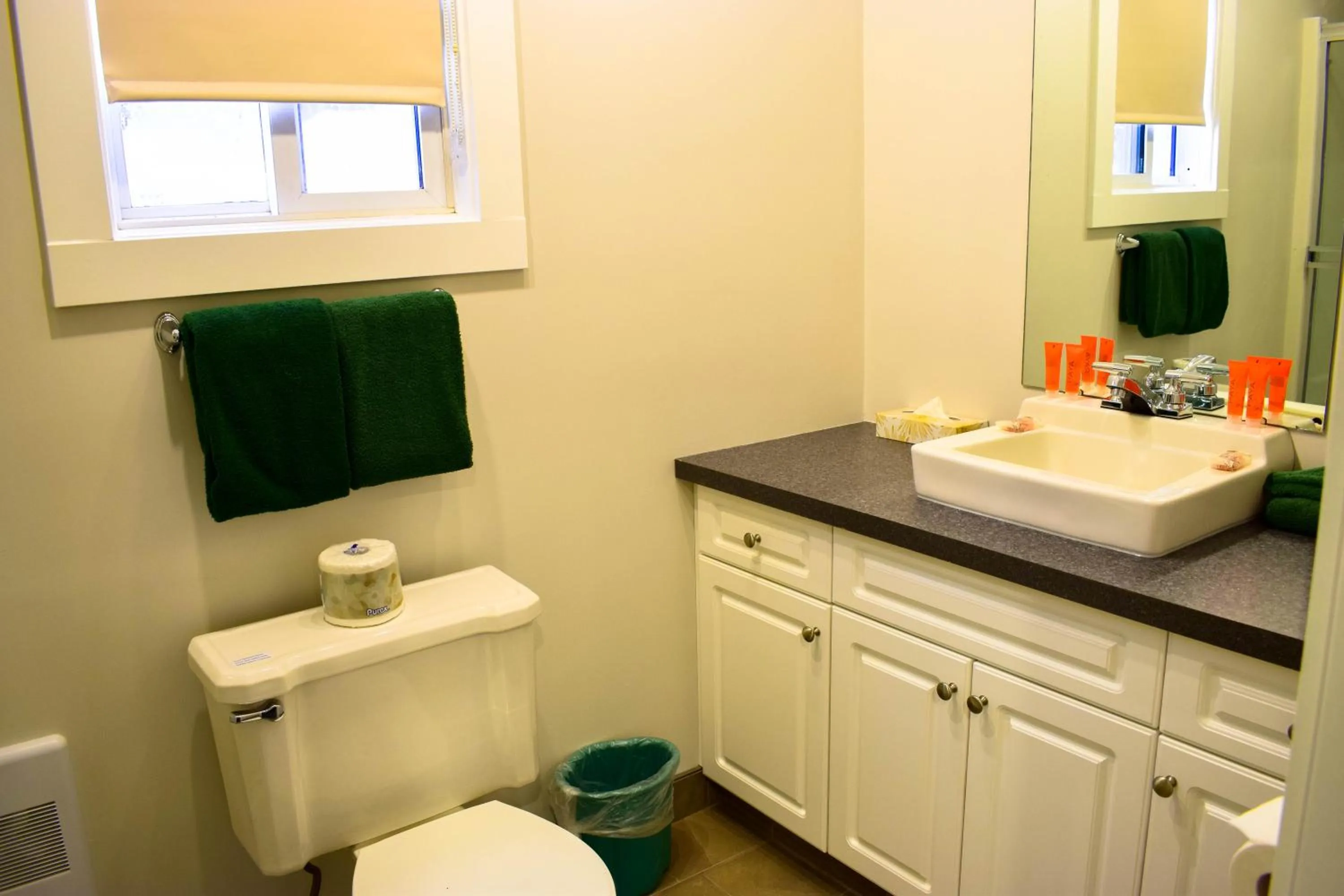 Bathroom in Peaks Lodge