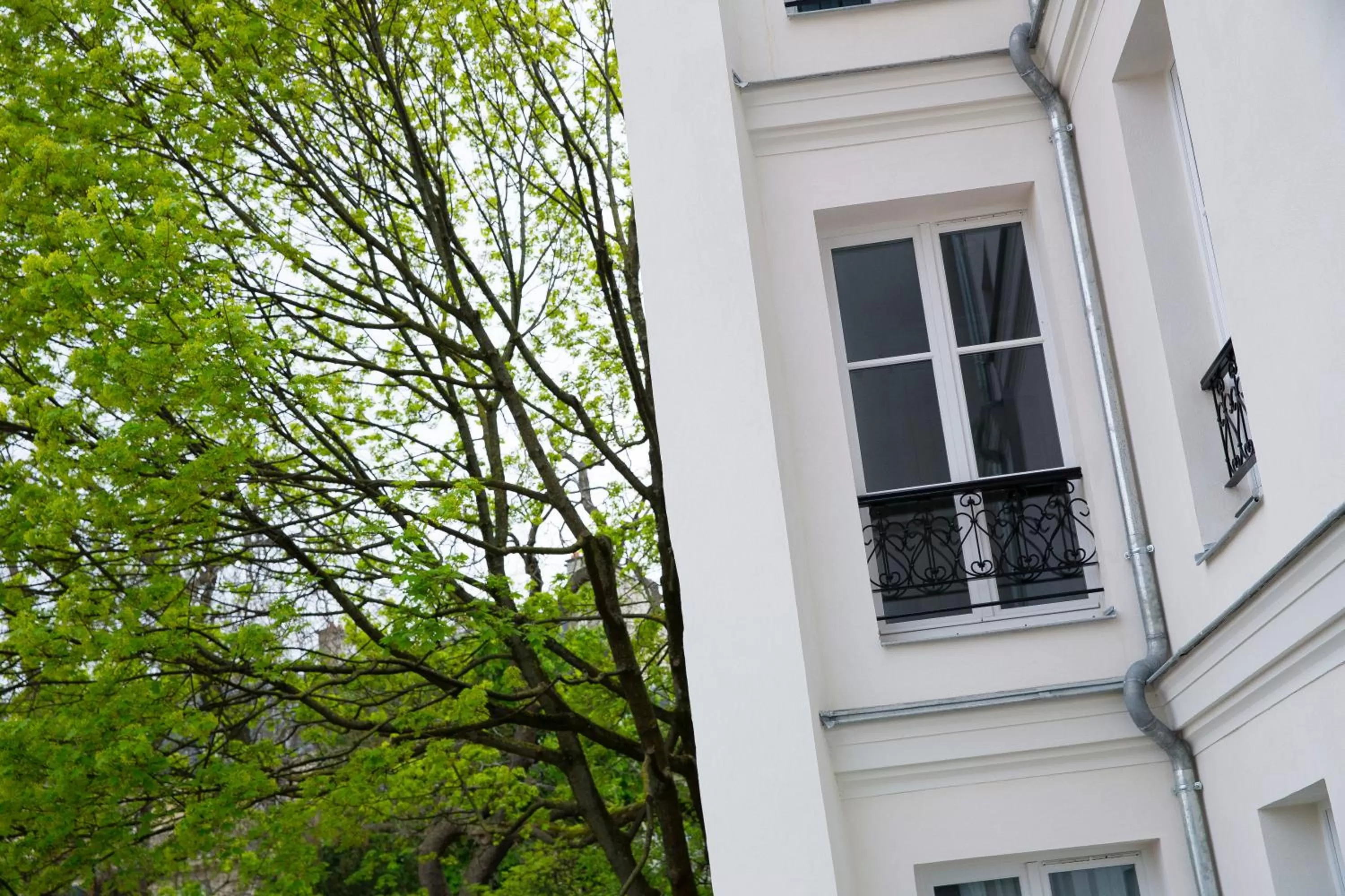 Facade/entrance in Hotel Monge