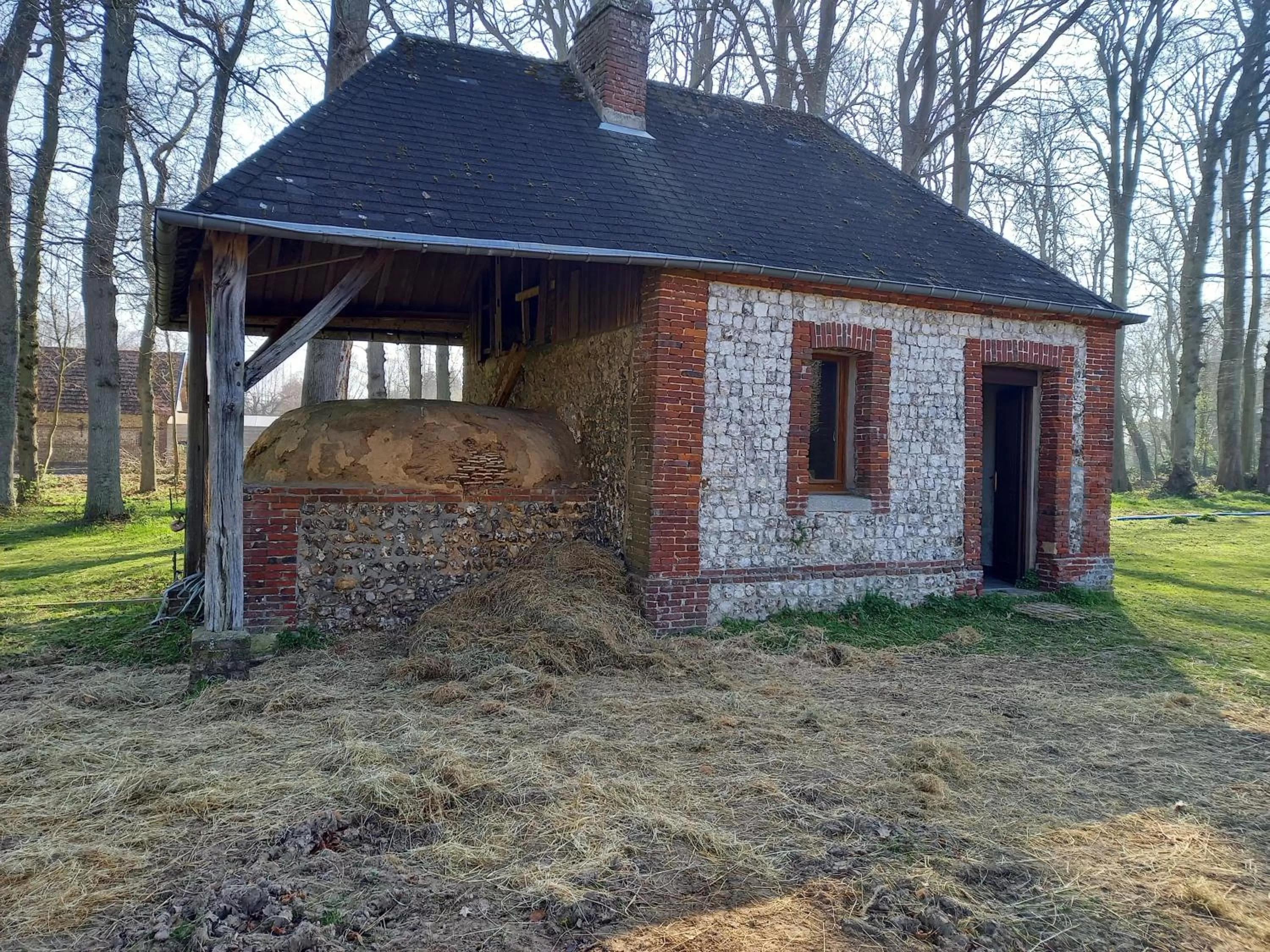 pet friendly in chambres et gites d'étretat