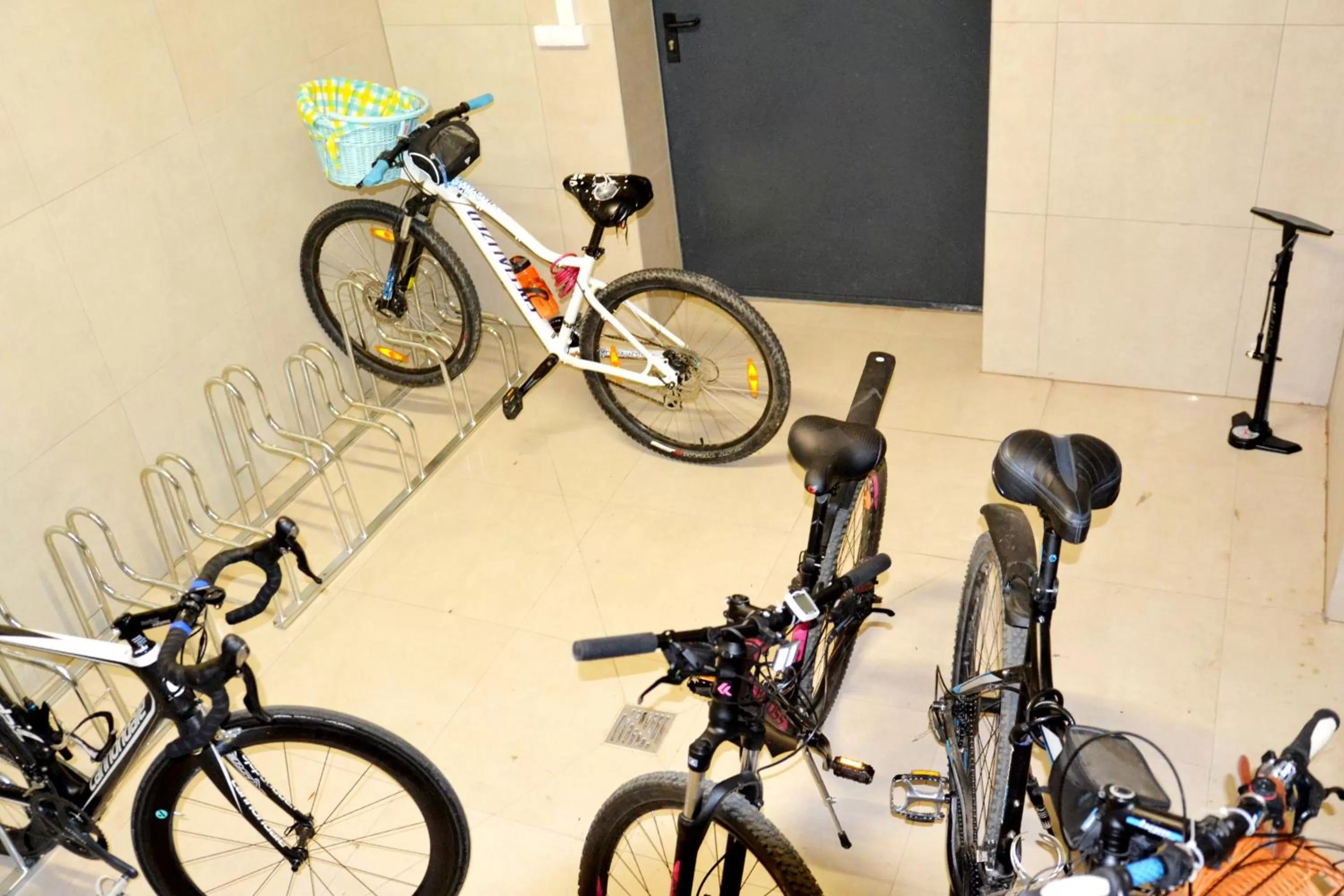 Cycling, Biking in Willa ŻeglarSki