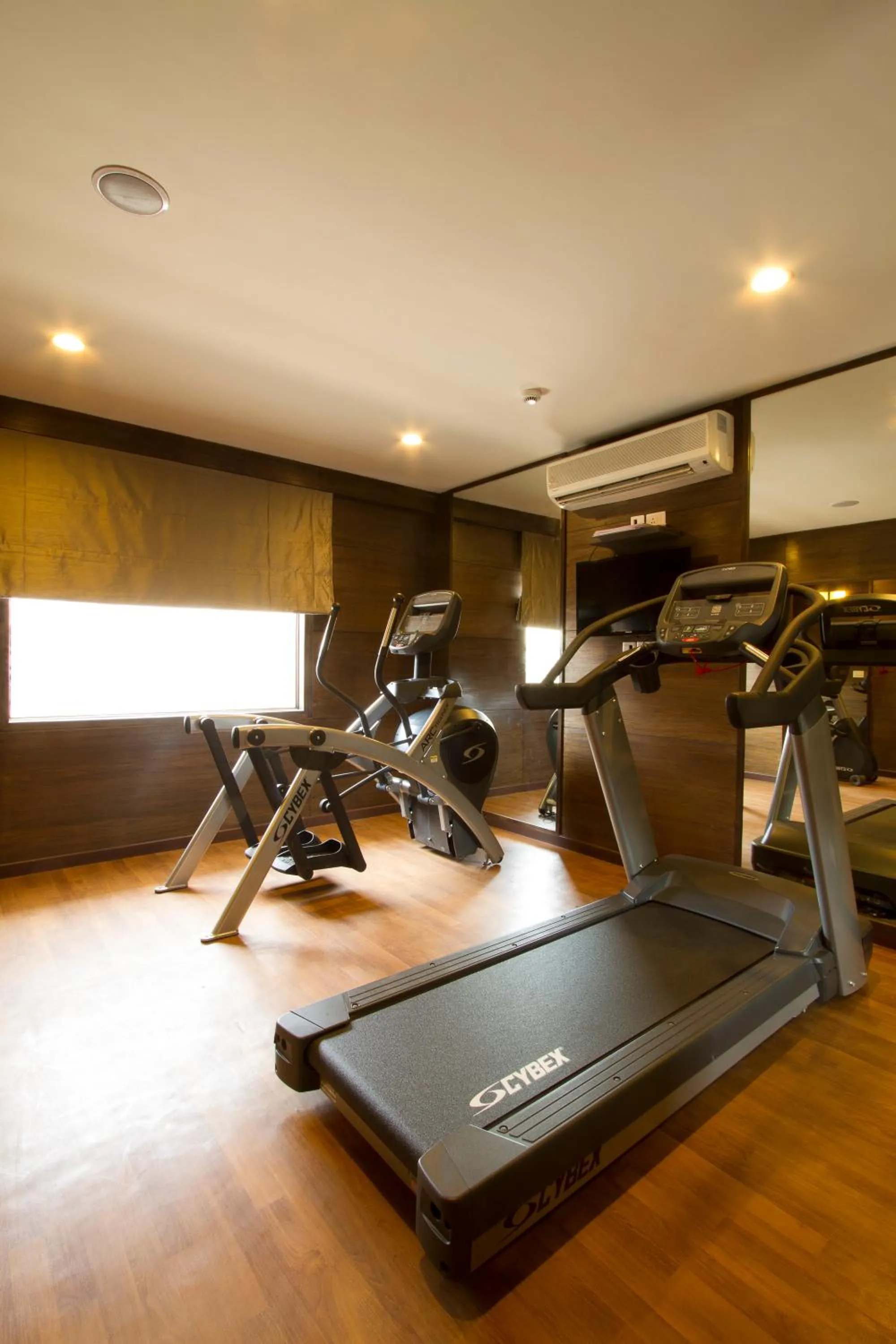 Fitness centre/facilities in Leisure Inn Grand Chanakya