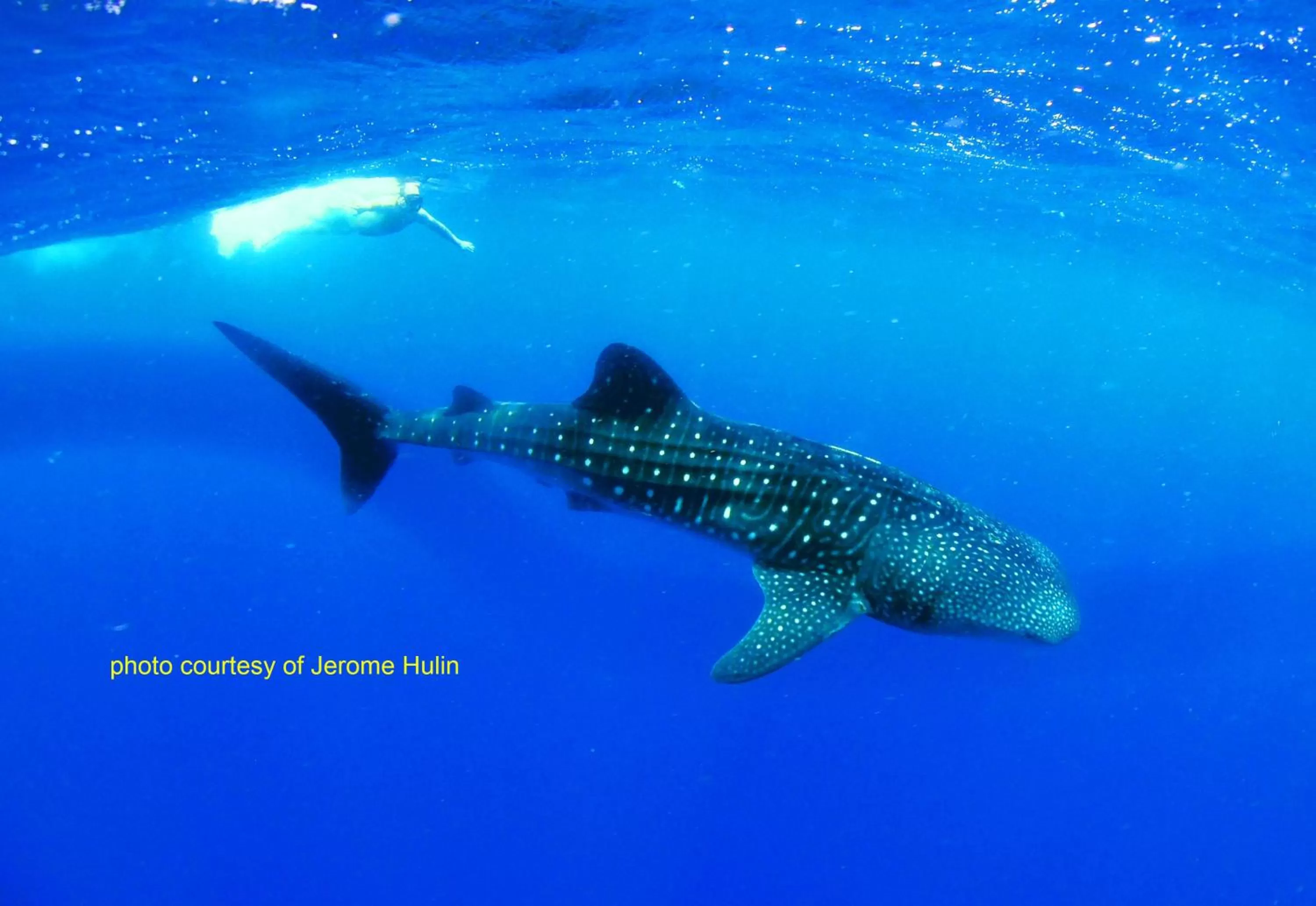 Activities in Paseo Del Mar Seaside Inn
