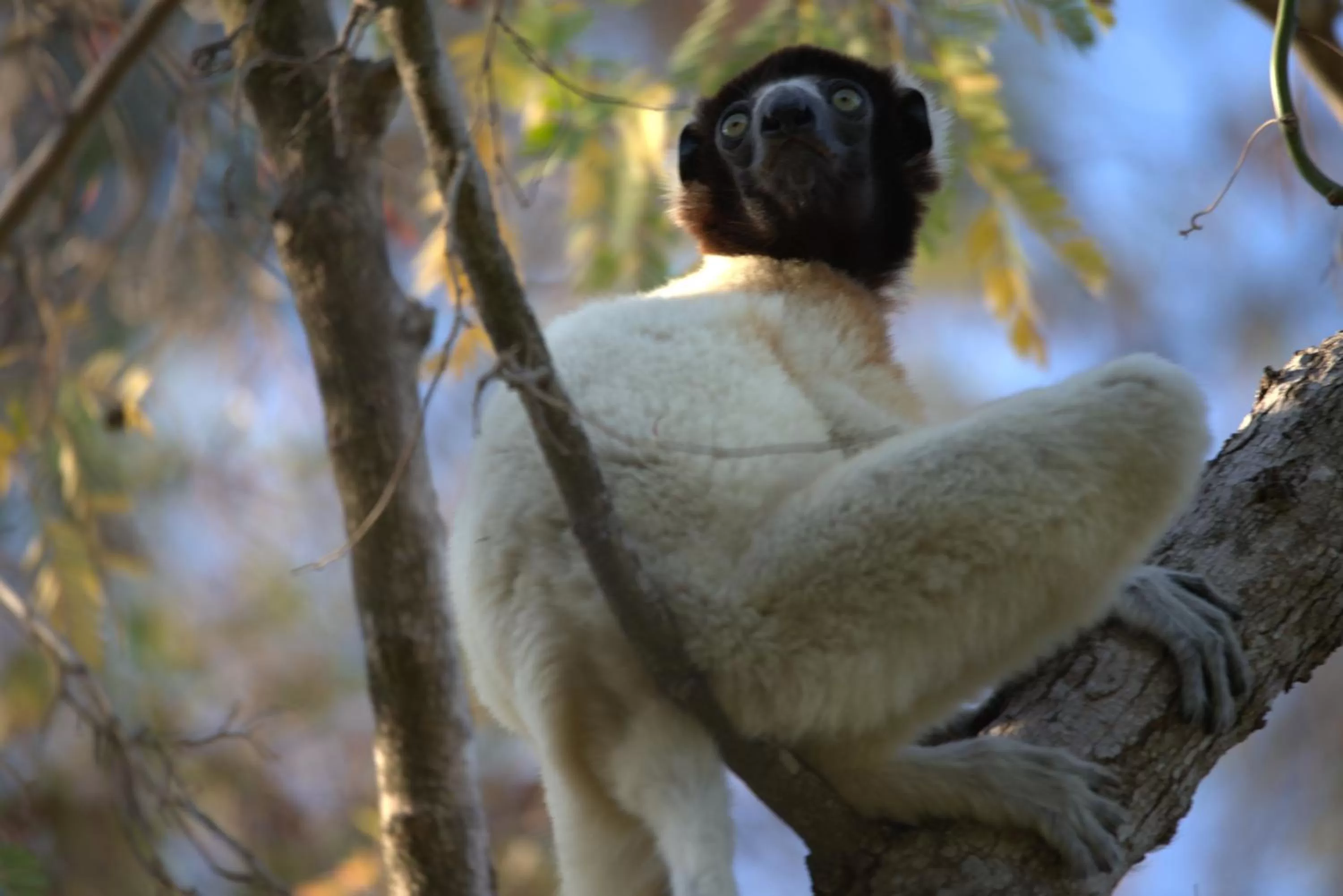 Off site in Hôtel Restaurant Coco Lodge Majunga