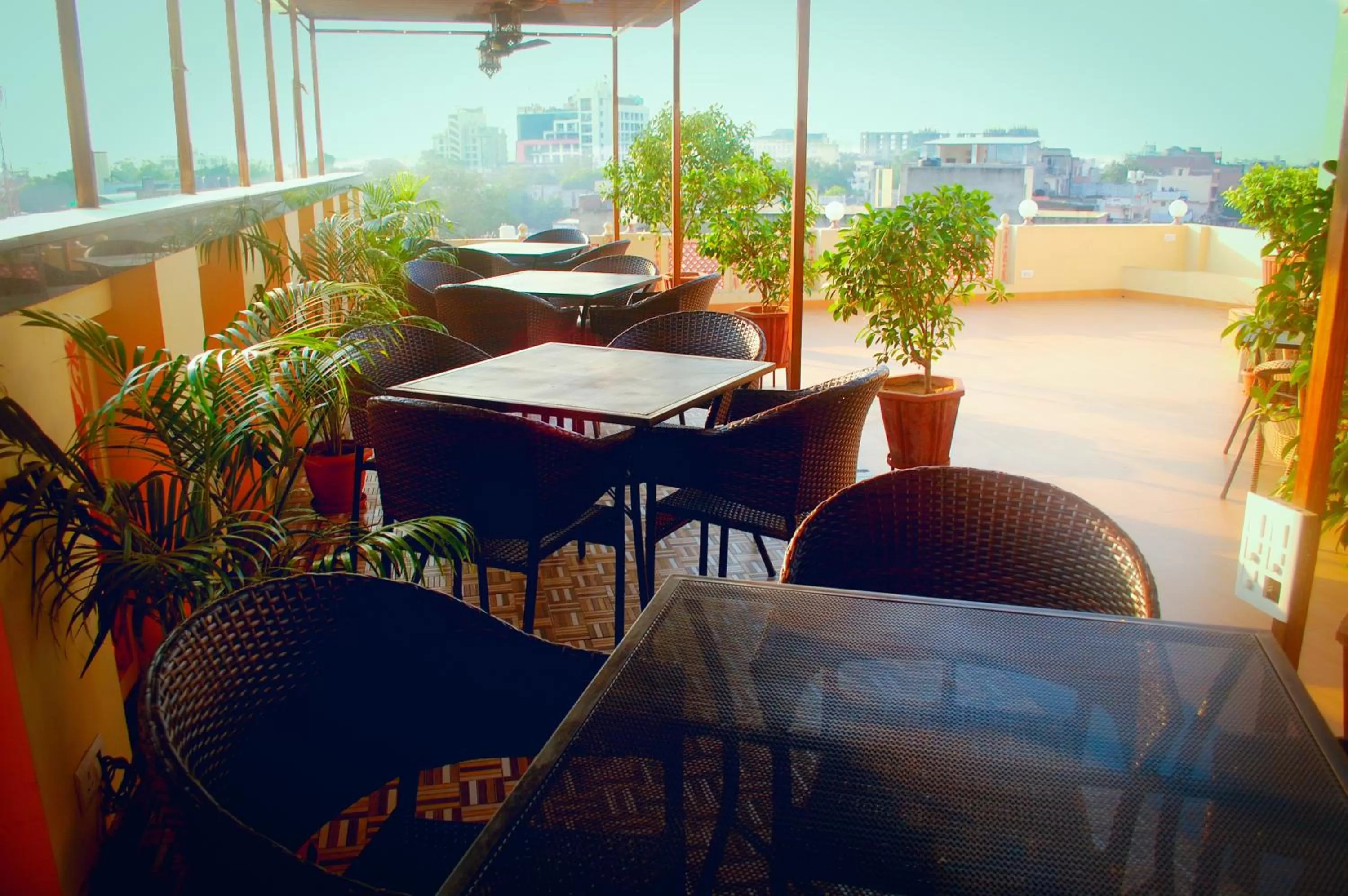 Restaurant/places to eat in Hotel H R Palace